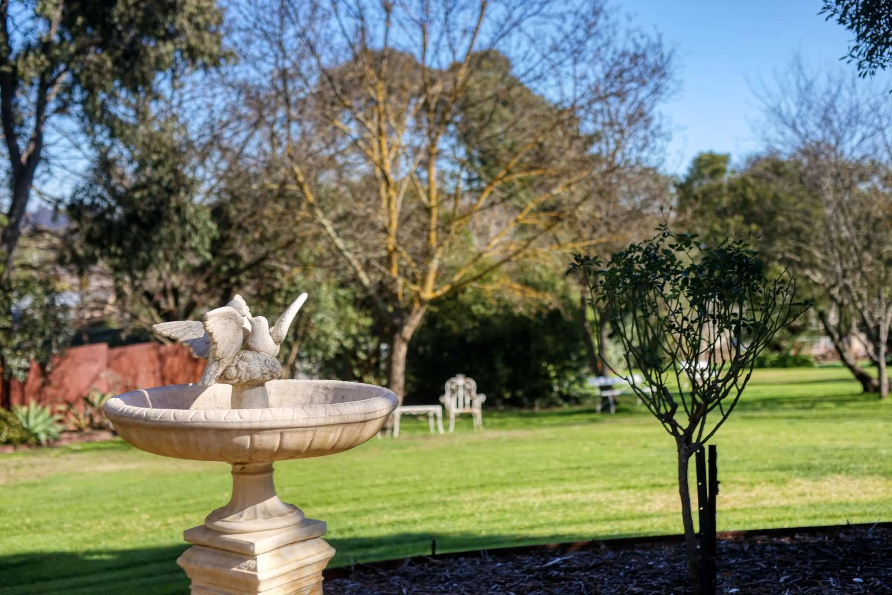 View (from property/room) in Yarra Gables