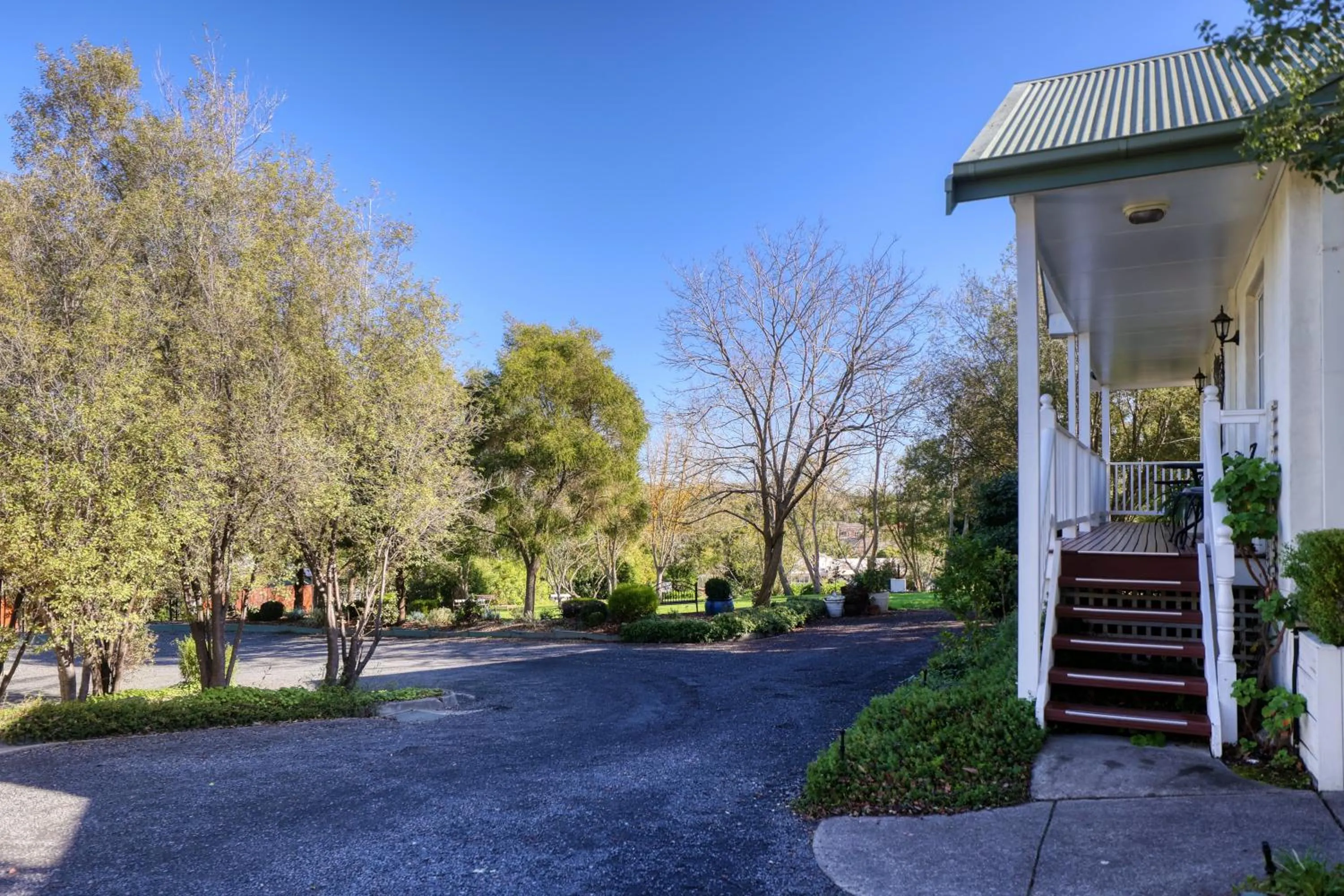 Garden in Yarra Gables