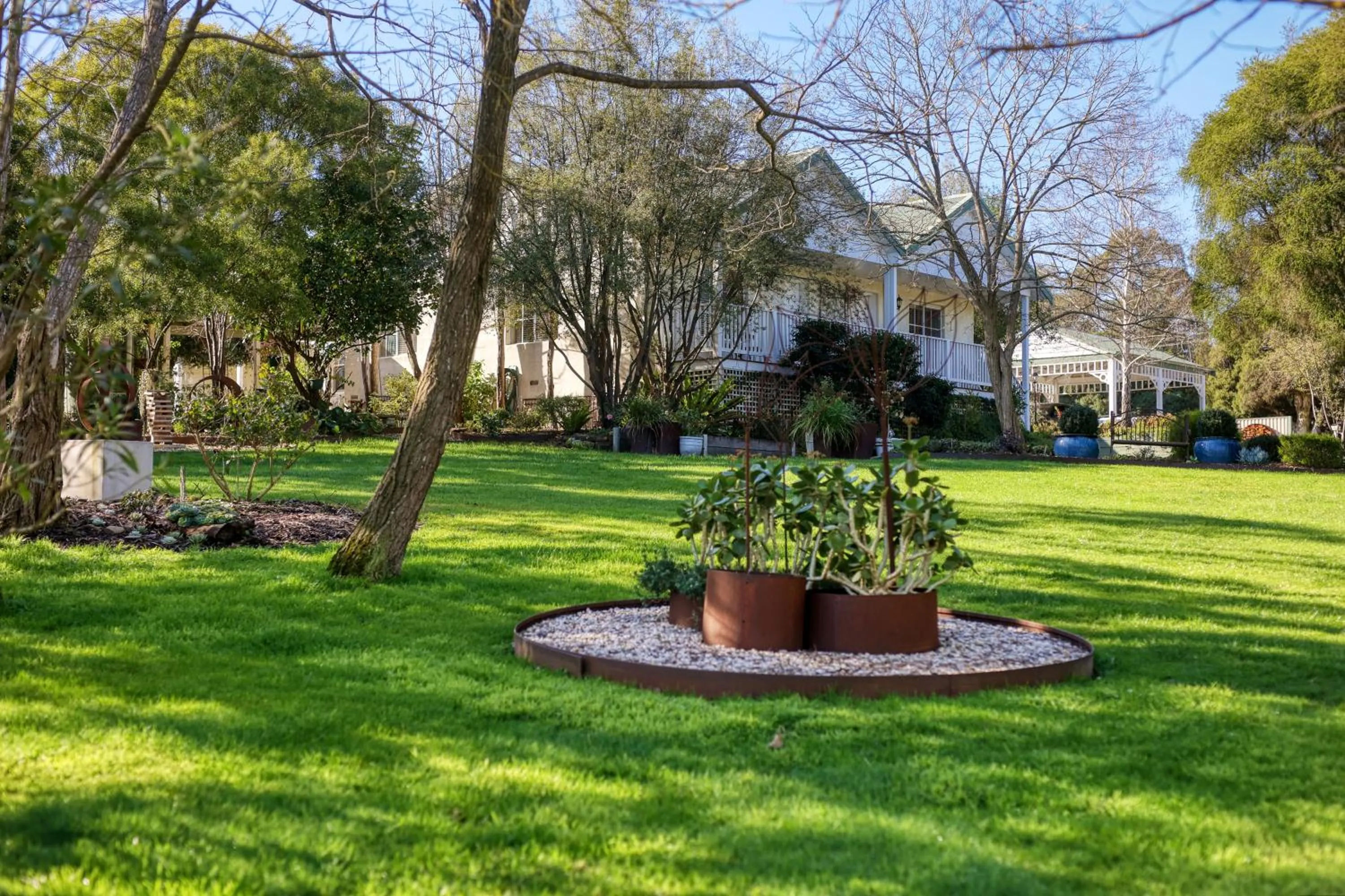 Garden in Yarra Gables