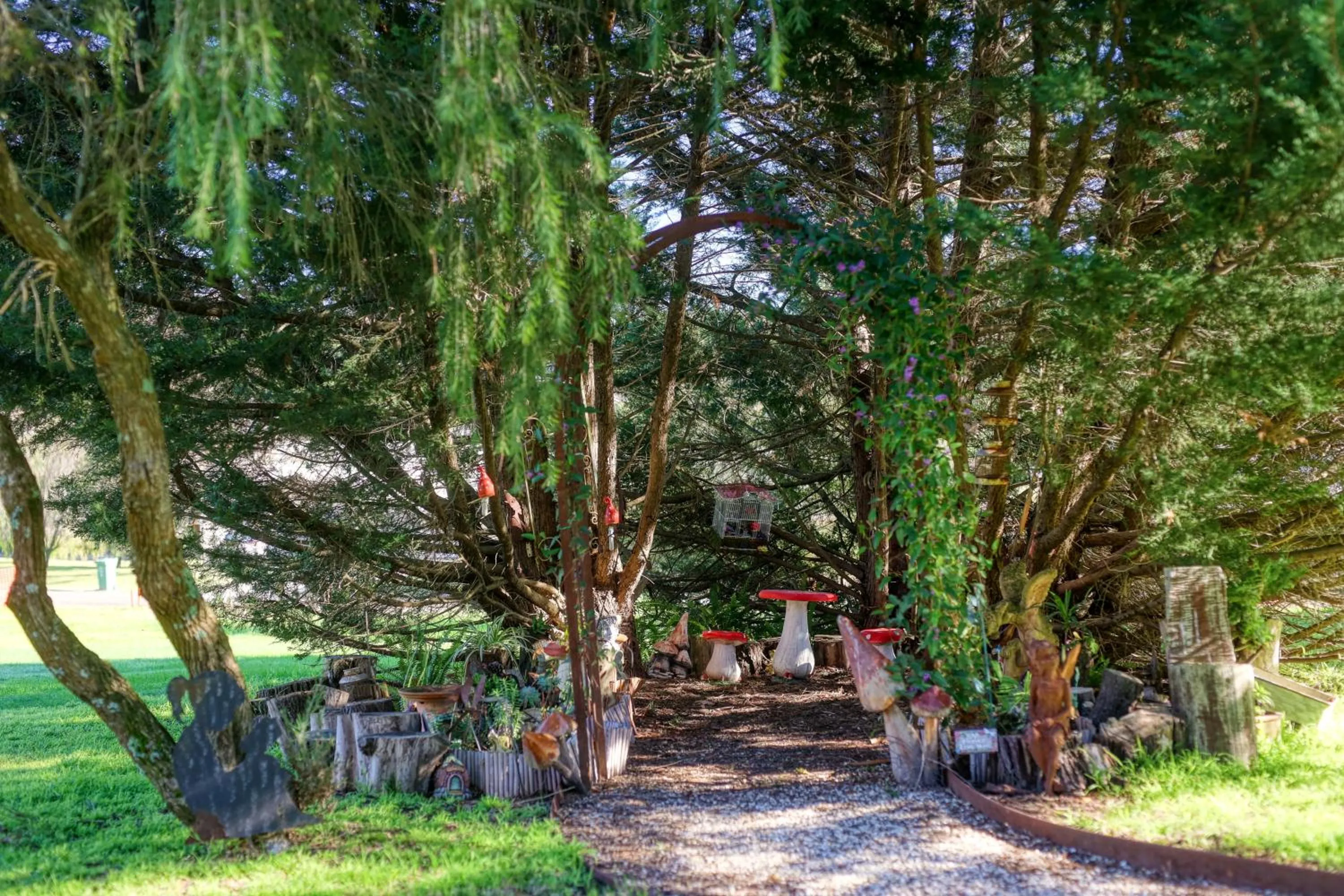 Garden in Yarra Gables