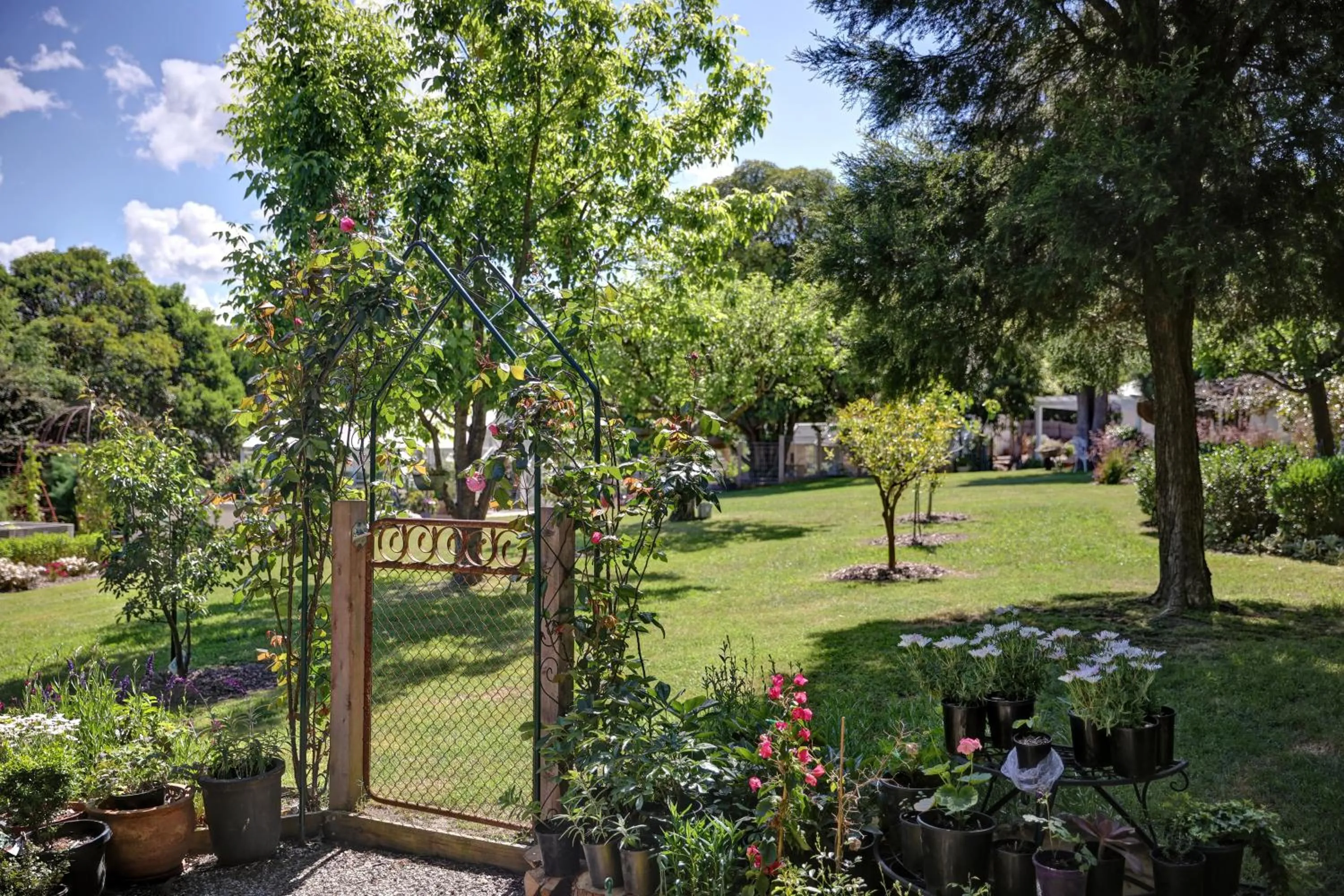 Garden in Yarra Gables