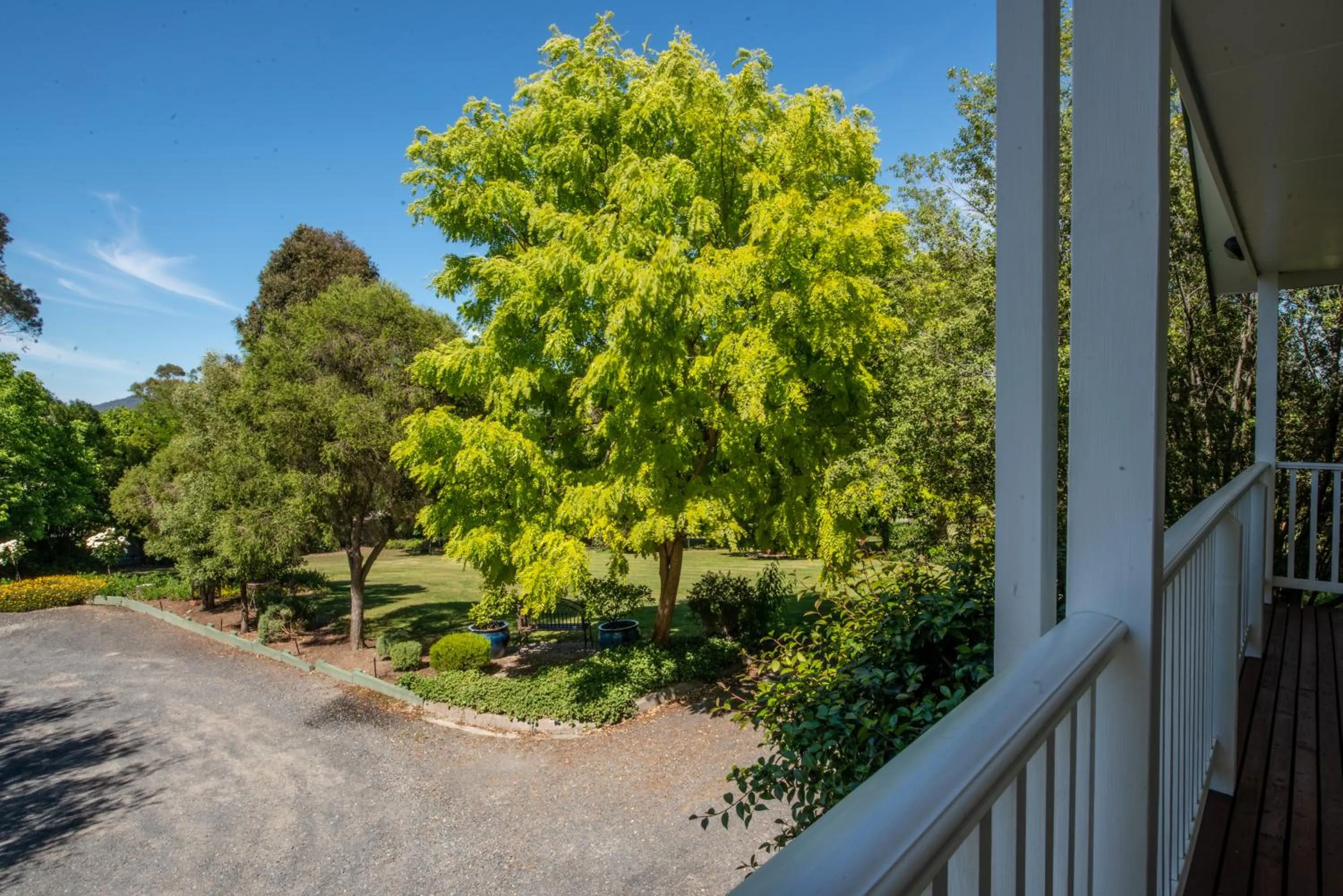 Garden in Yarra Gables