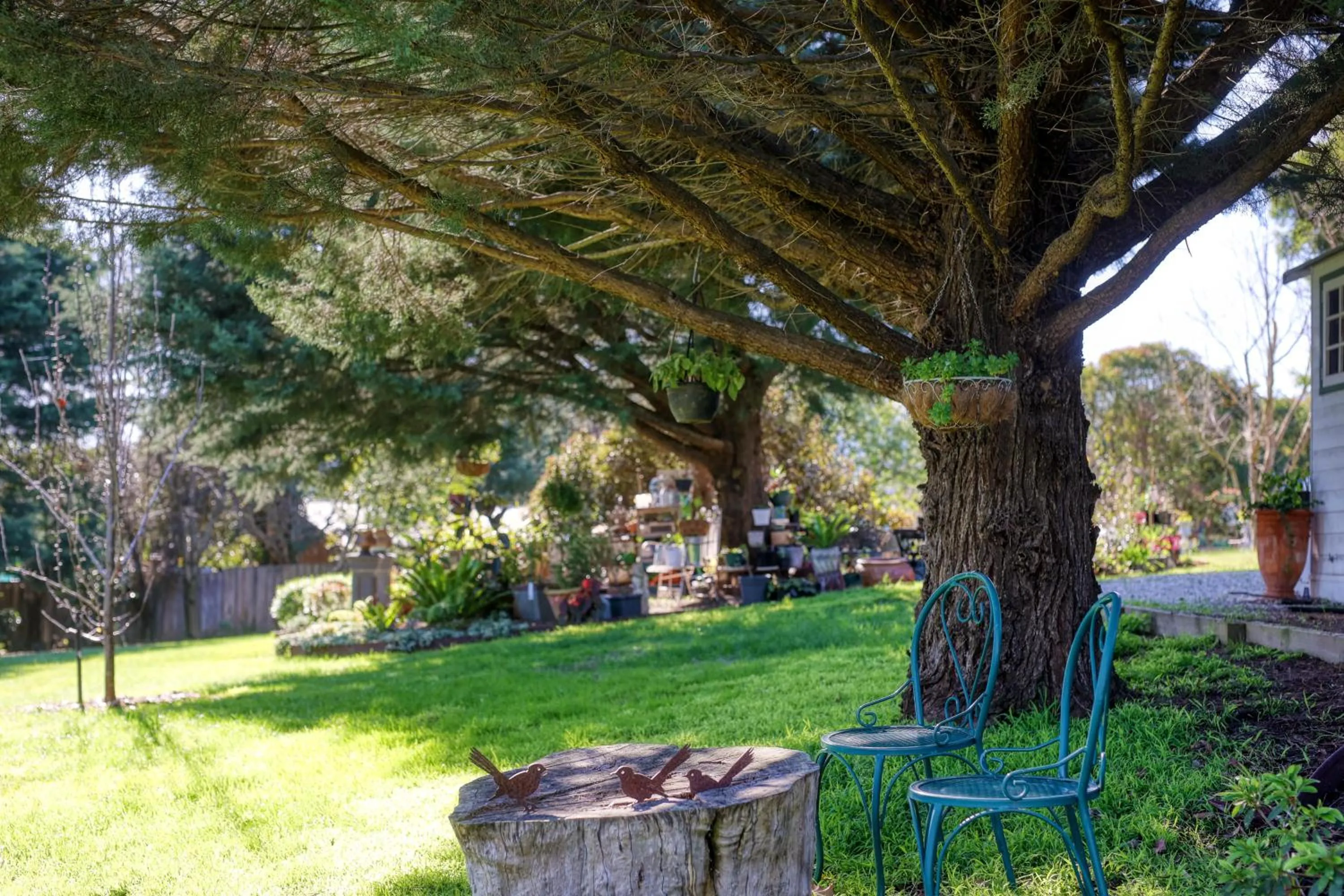 Garden in Yarra Gables