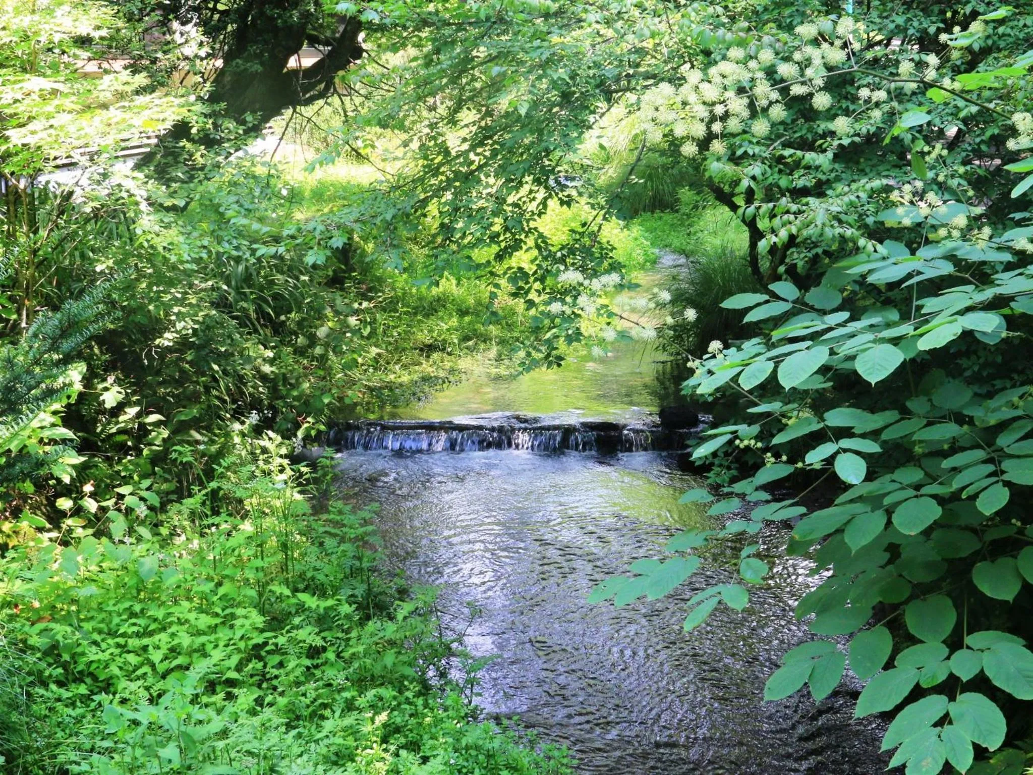 Natural landscape in Kose Onsen