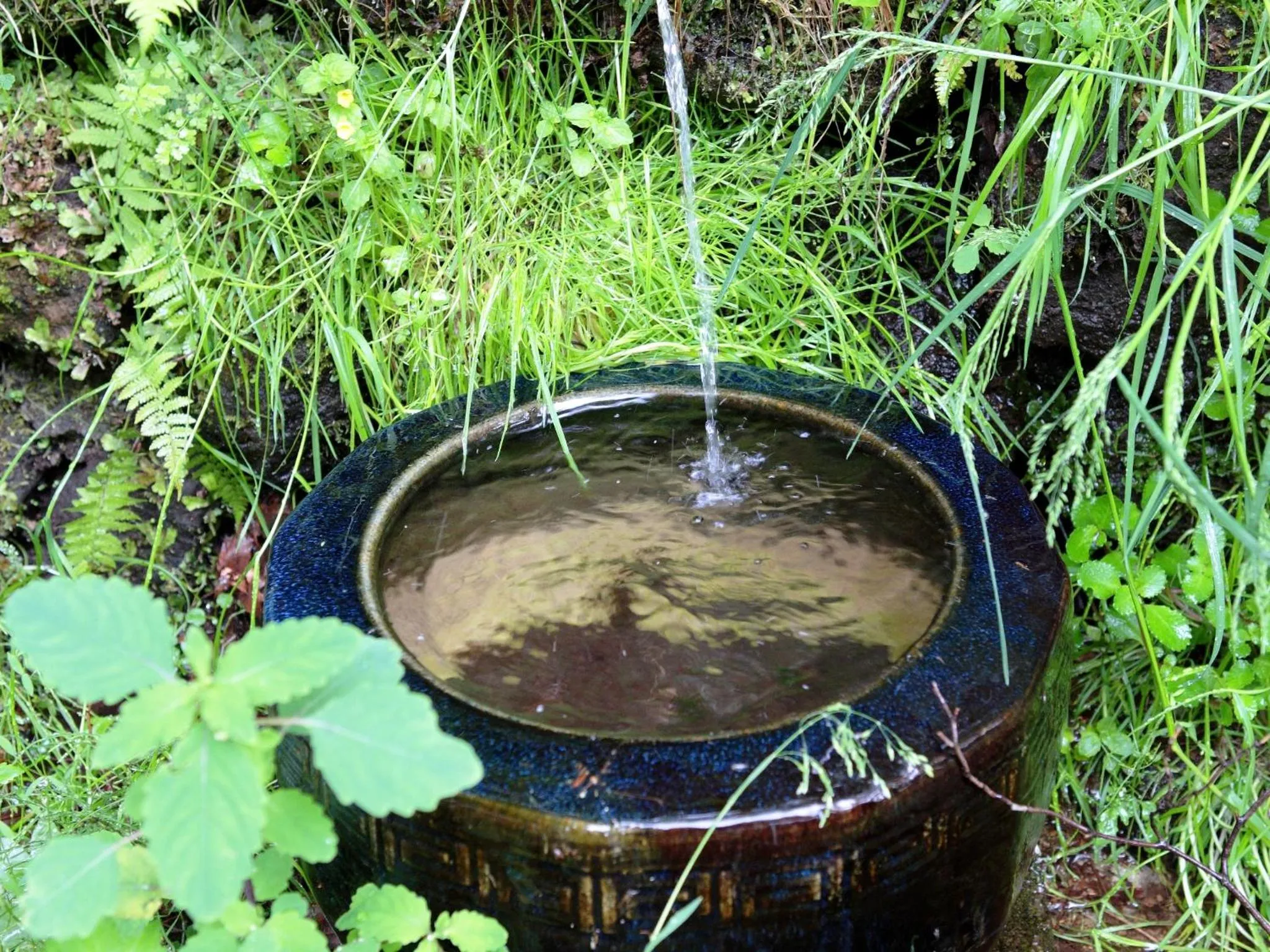 Garden in Kose Onsen