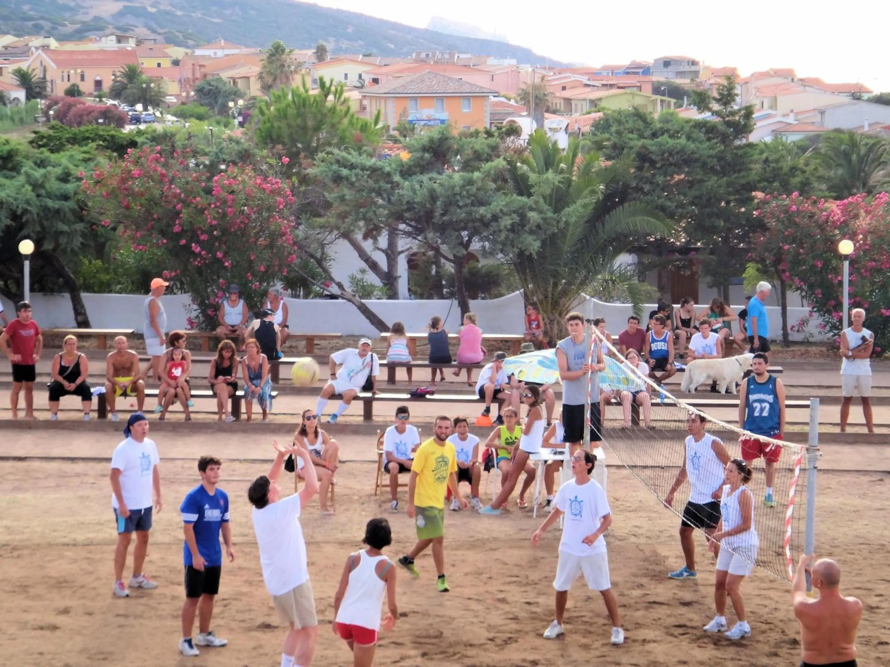 Activities in Sa Fiorida case vacanze