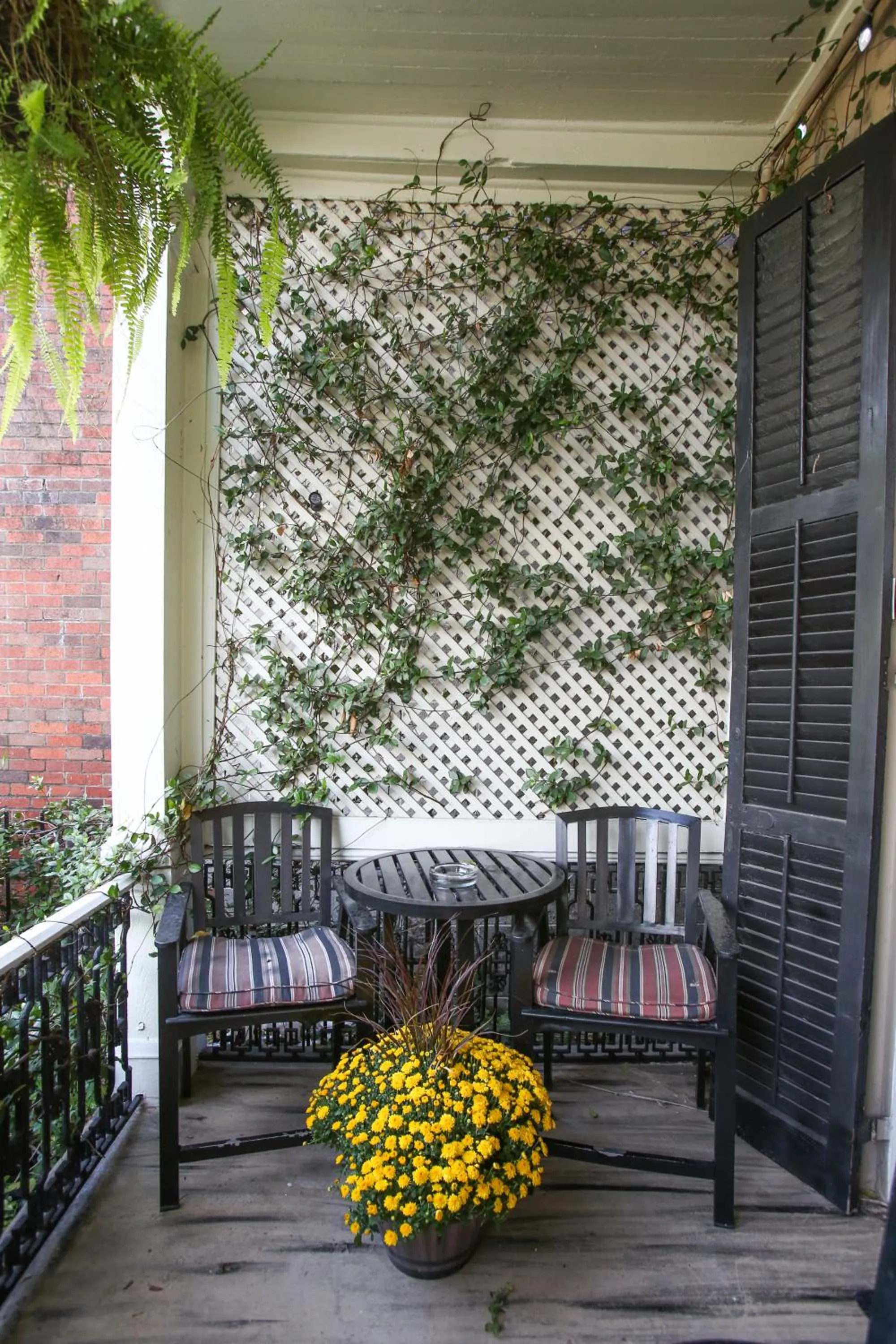 Patio in Fleur De Lis Mansion