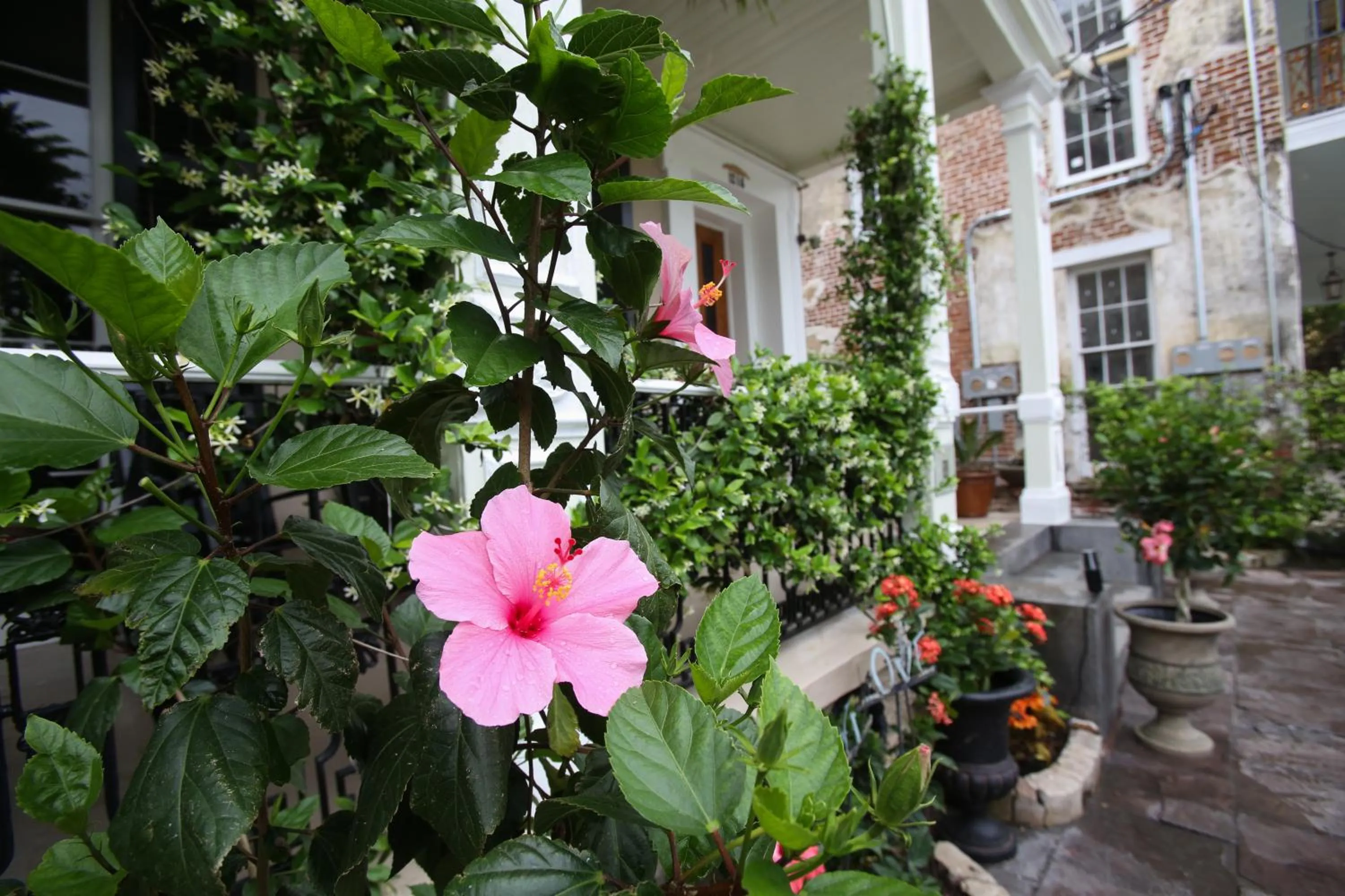 Garden in Fleur De Lis Mansion
