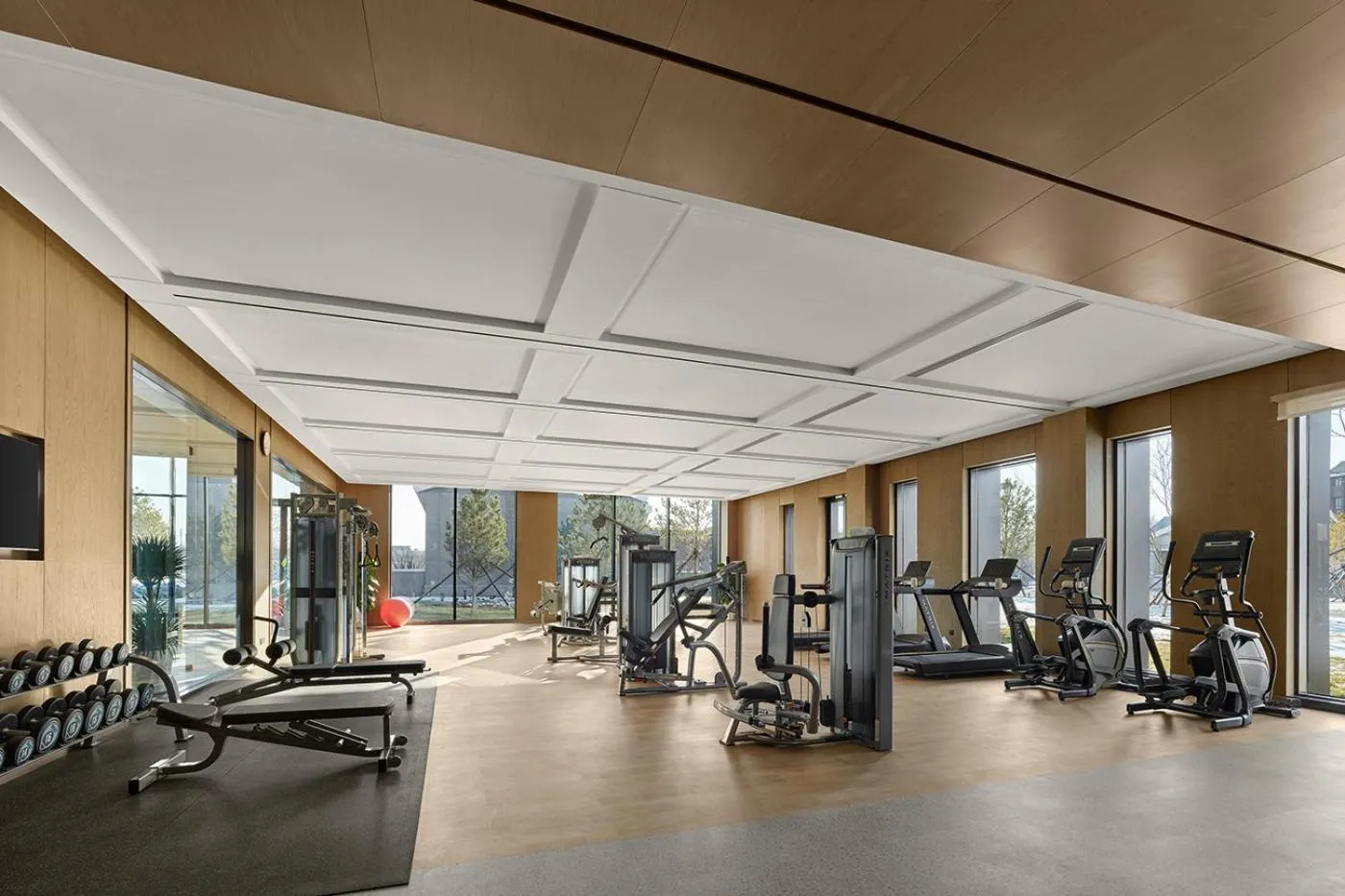 Fitness centre/facilities in Homm Changchun Beihu