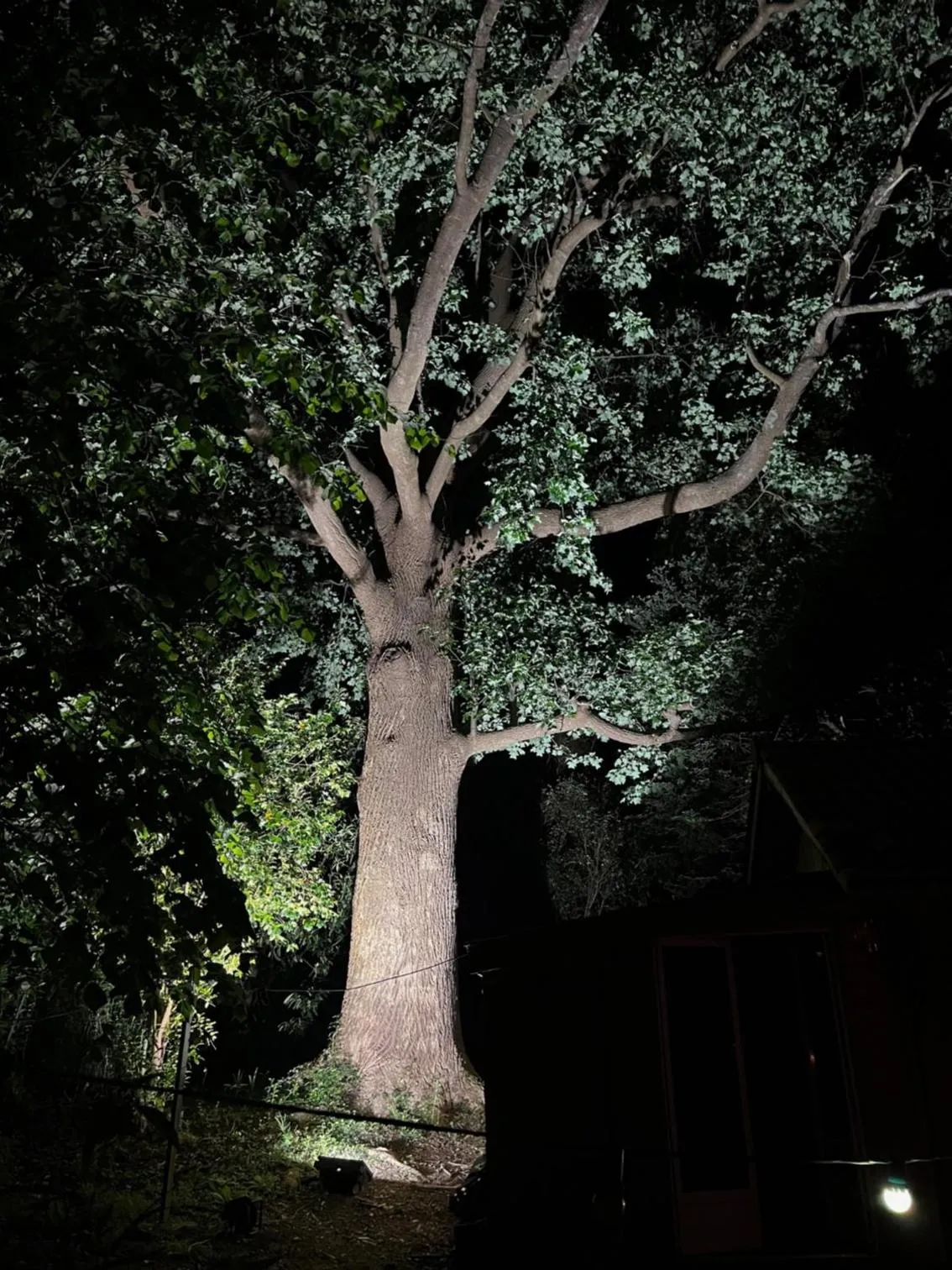 Garden in MAROSENIA TTIKI - Cabanes et Spa