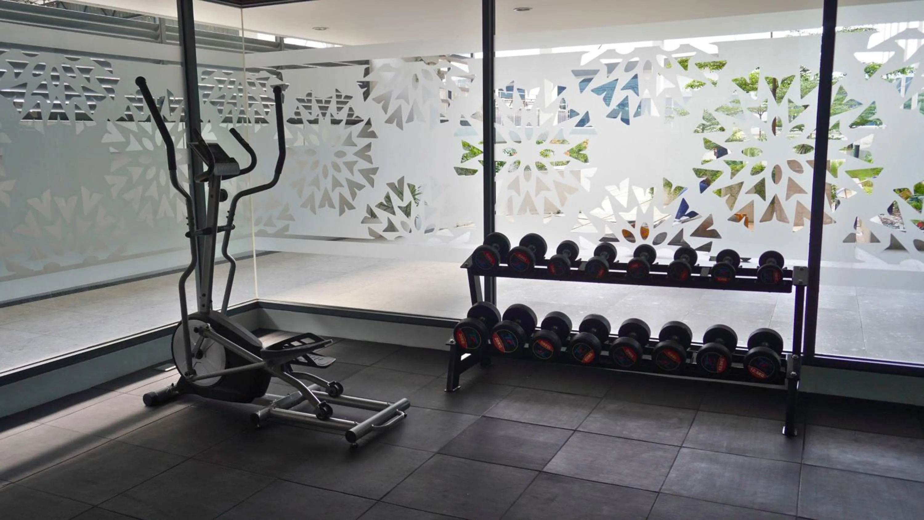 Fitness centre/facilities in Grand Anara Airport Hotel