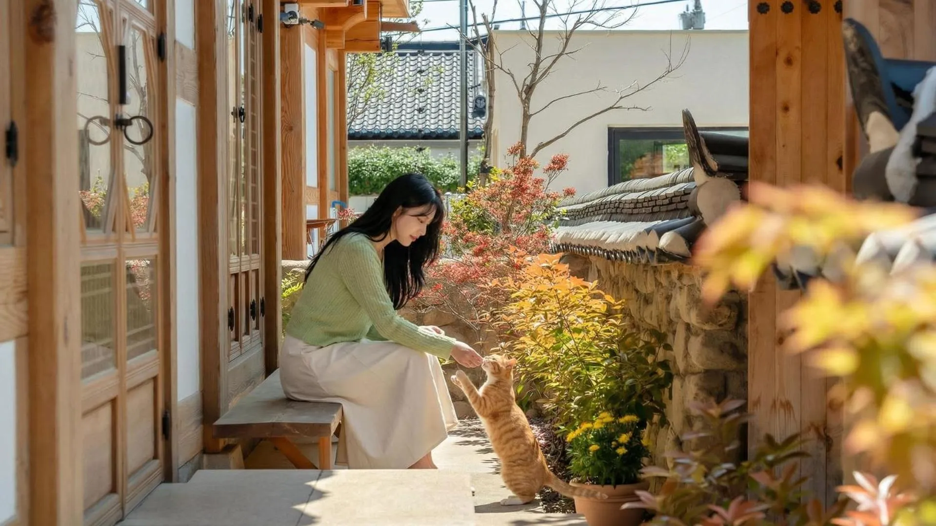 Property building in Gyeongju Hanokstay Darak