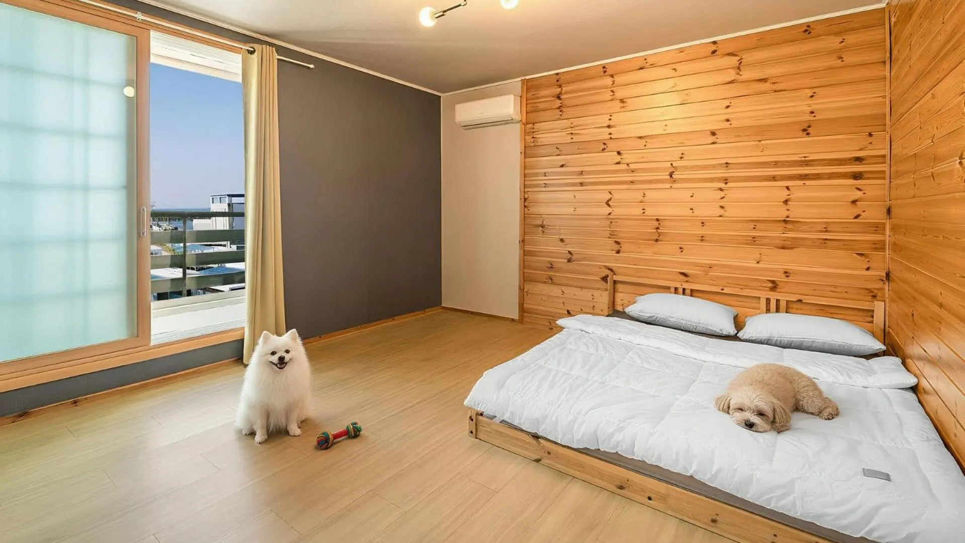 Property building, Bed in Gangneung Basecamp Pension