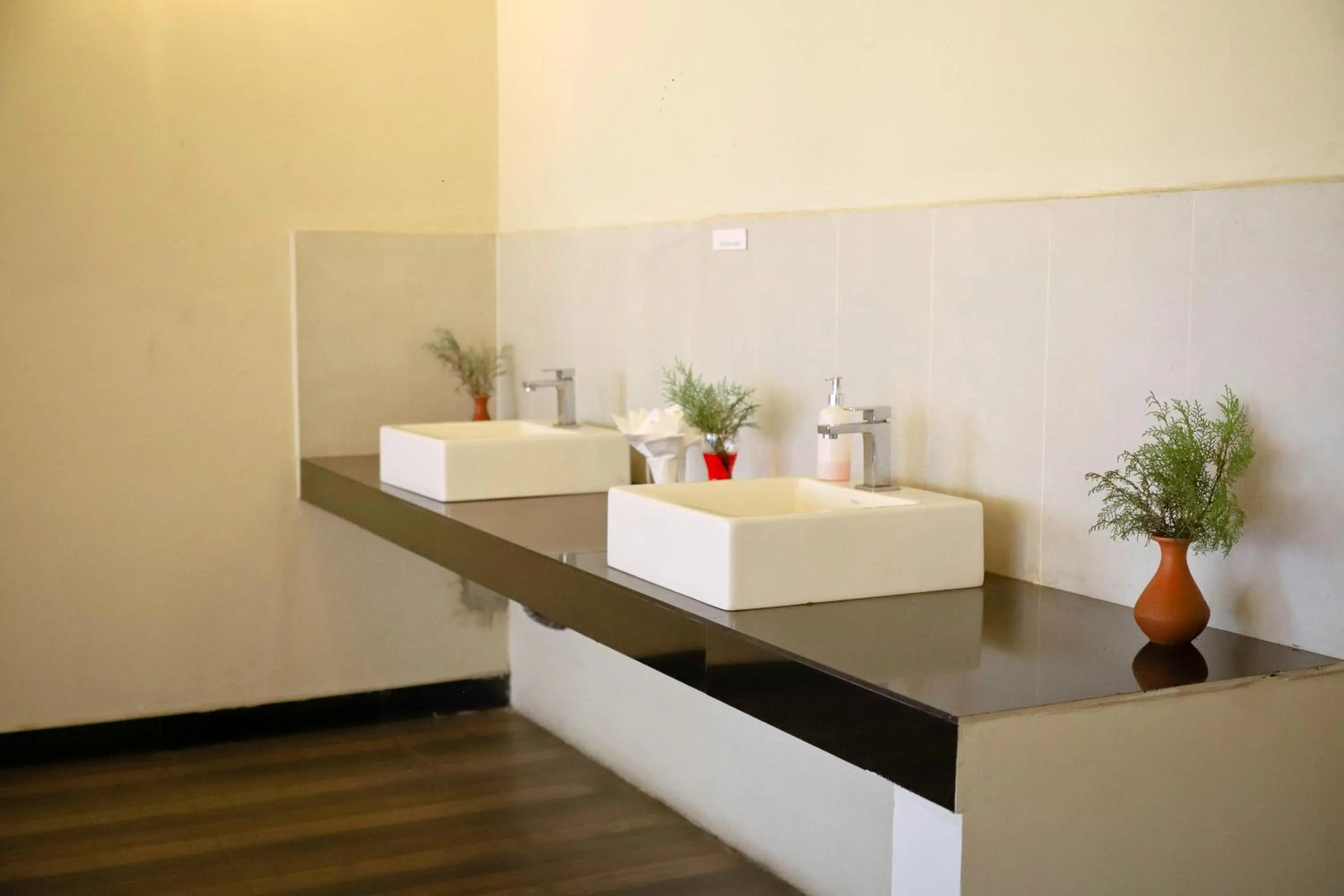 Oak Ray La Ella Breeze