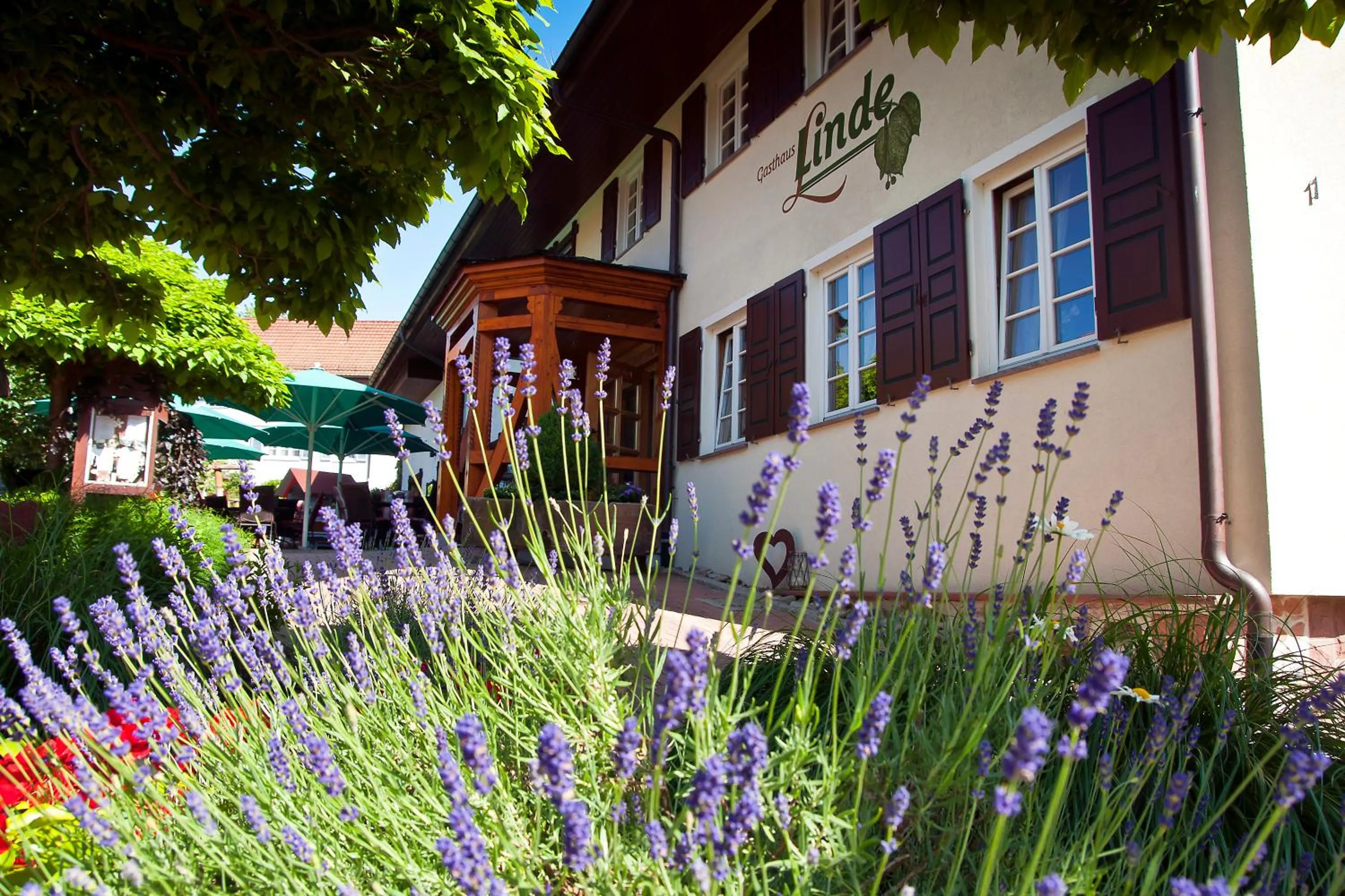 Property building in Gasthaus Linde