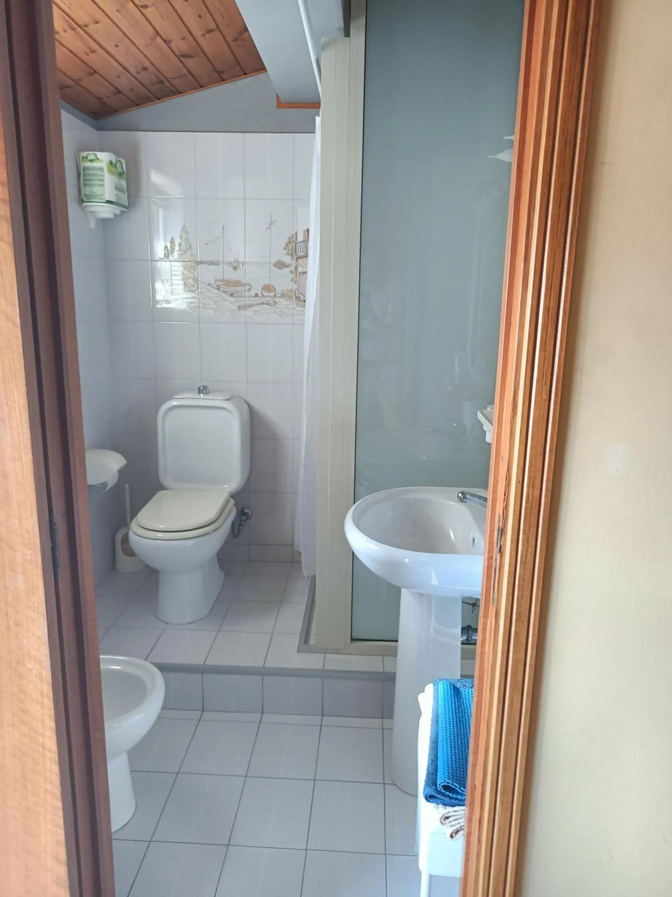 Shower in B&B Mimosa