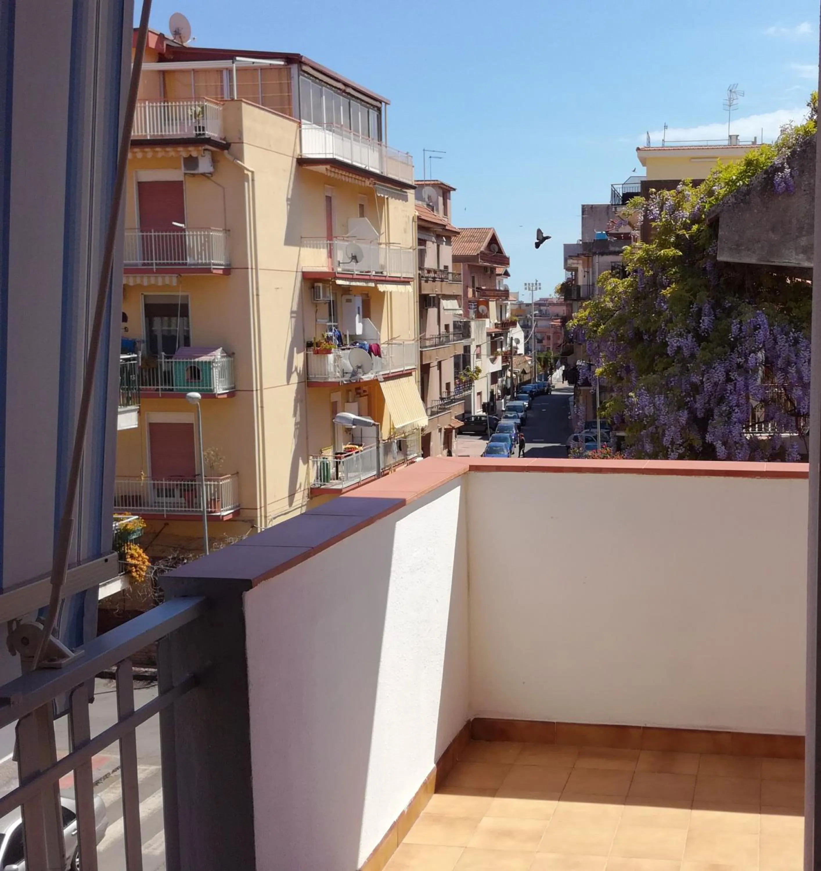 Garden view in B&B Mimosa