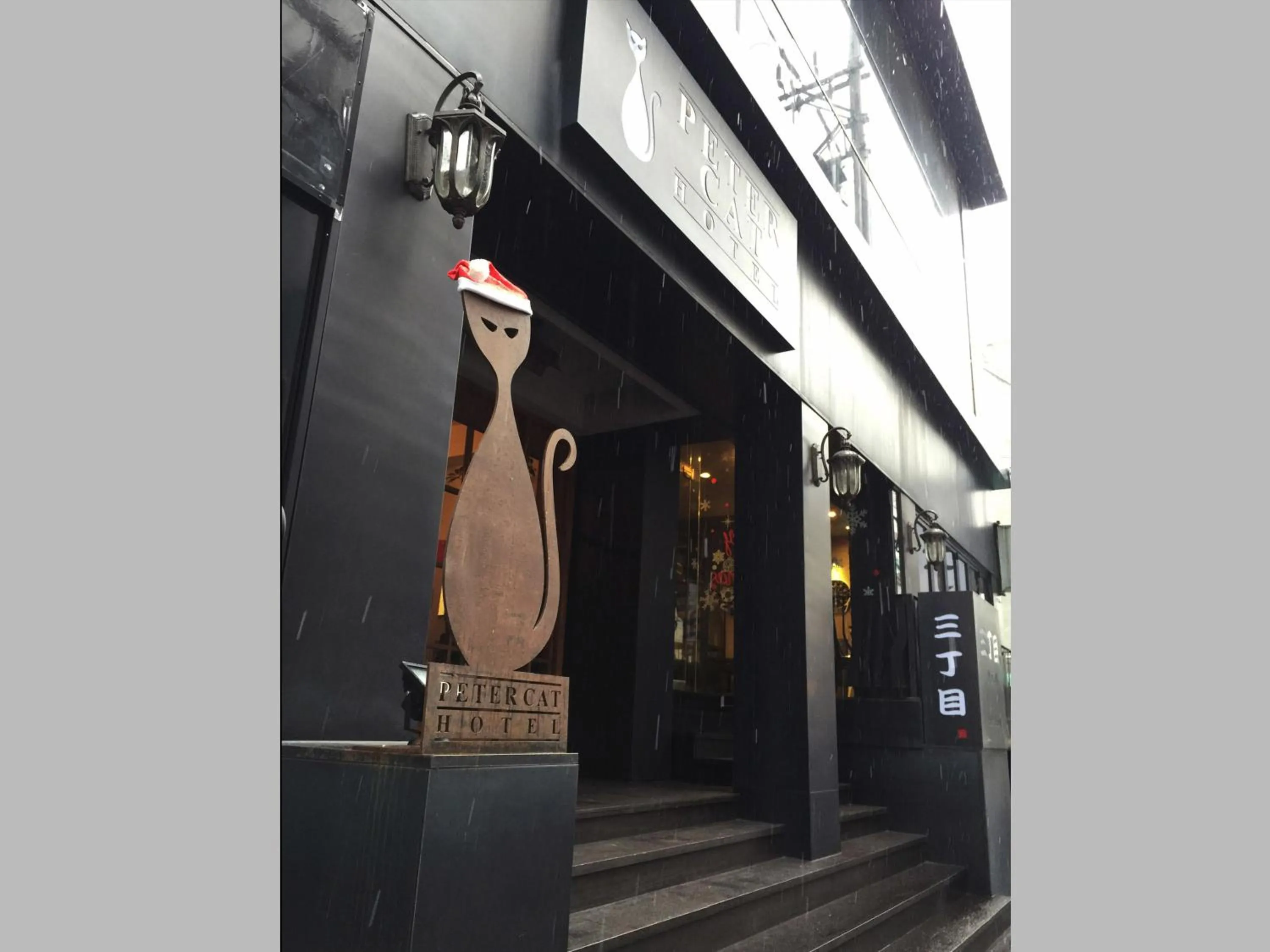 Facade/entrance in Petercat Hotel Shinchon