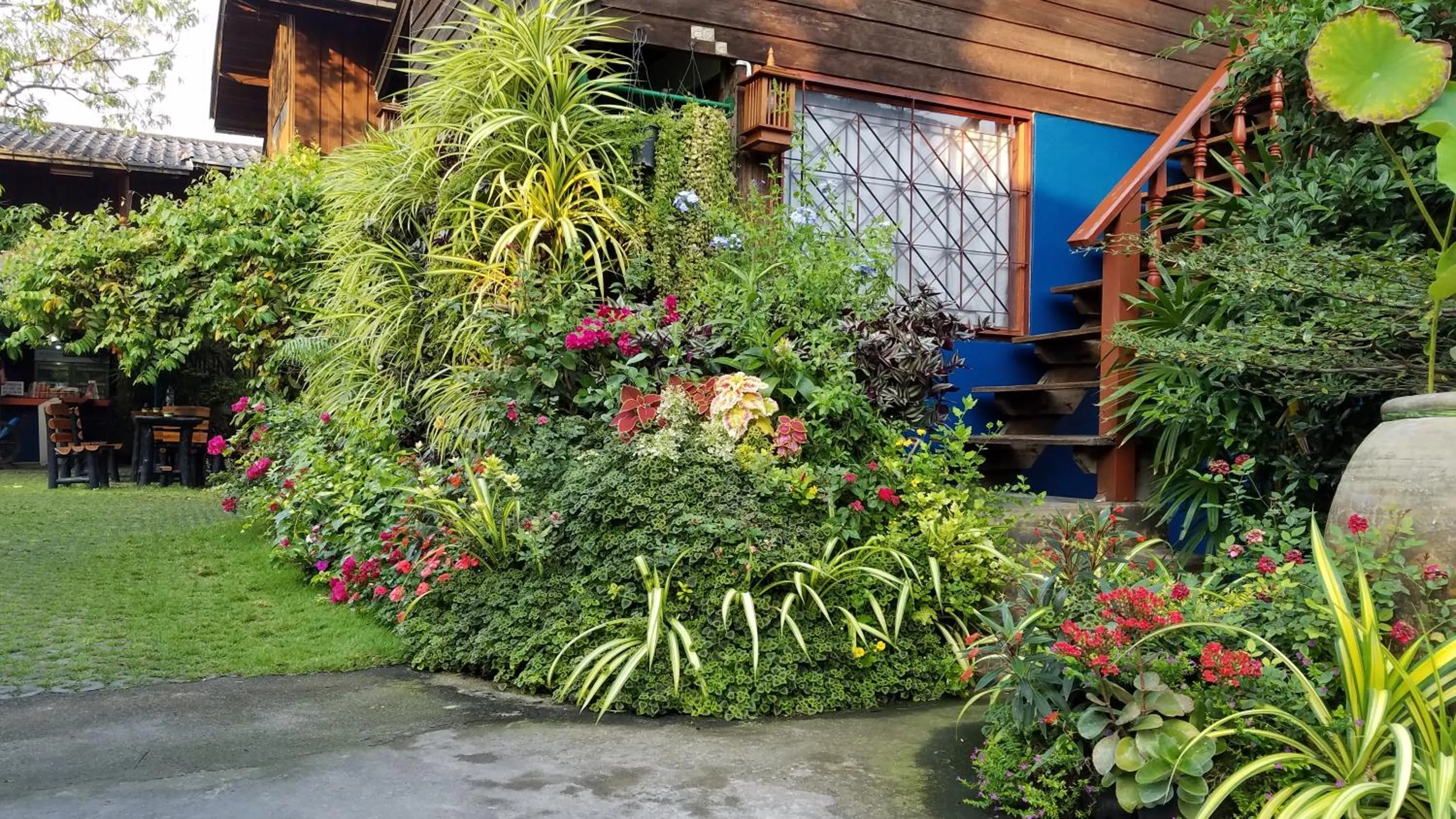 Garden in Siriwan Hostel