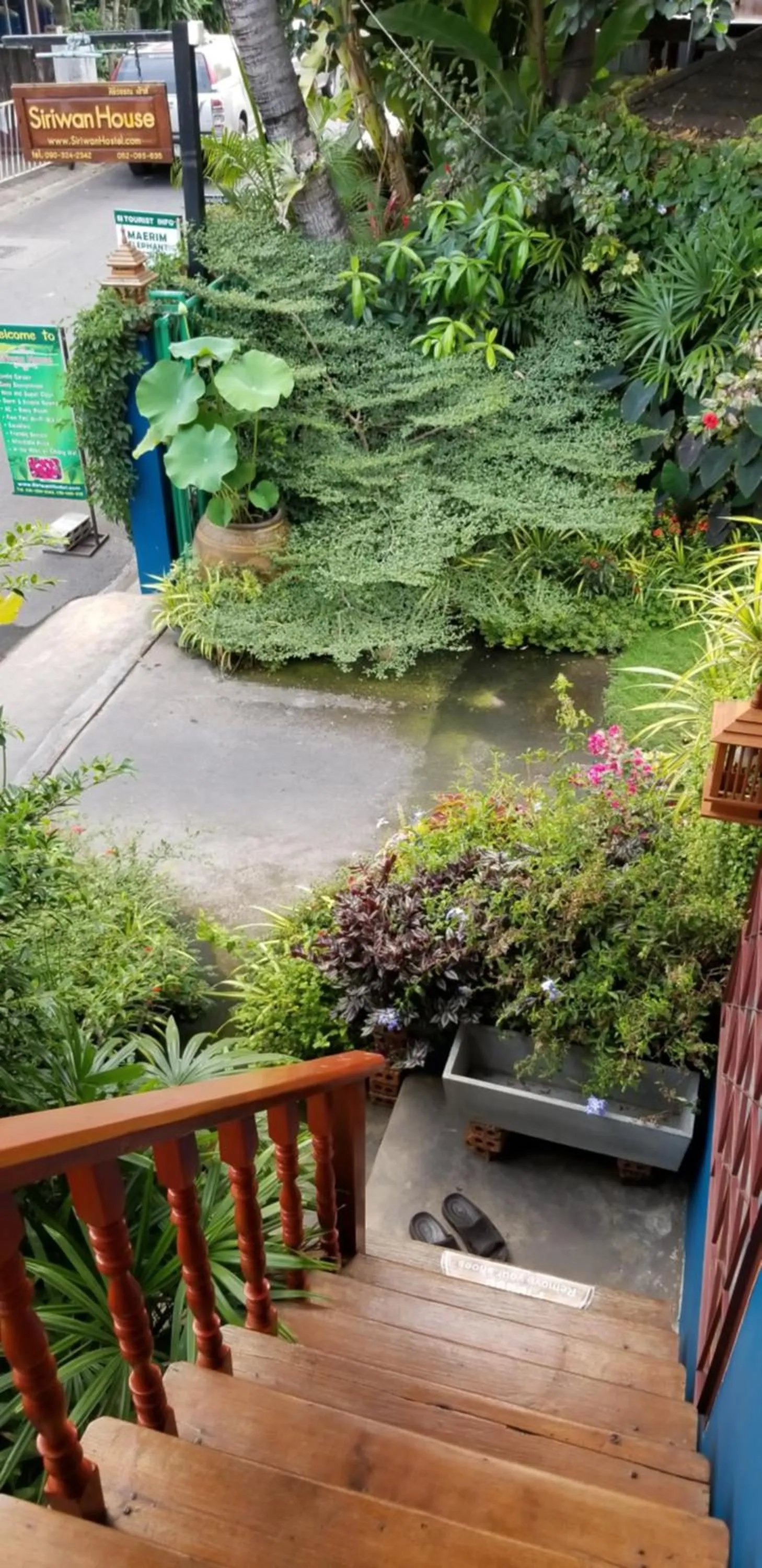 Balcony/Terrace in Siriwan Hostel