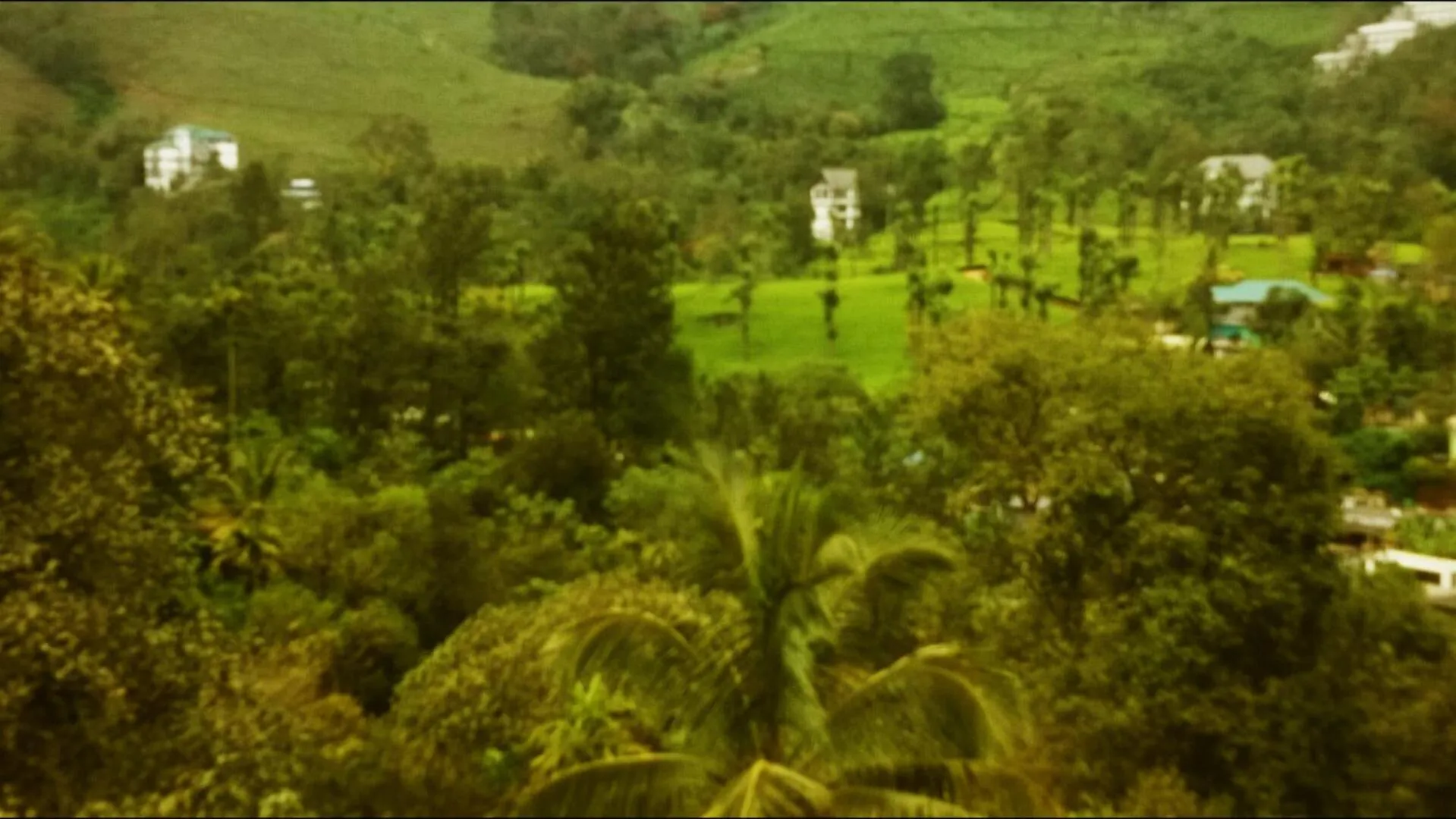 View (from property/room) in Gokulam Park Munnar