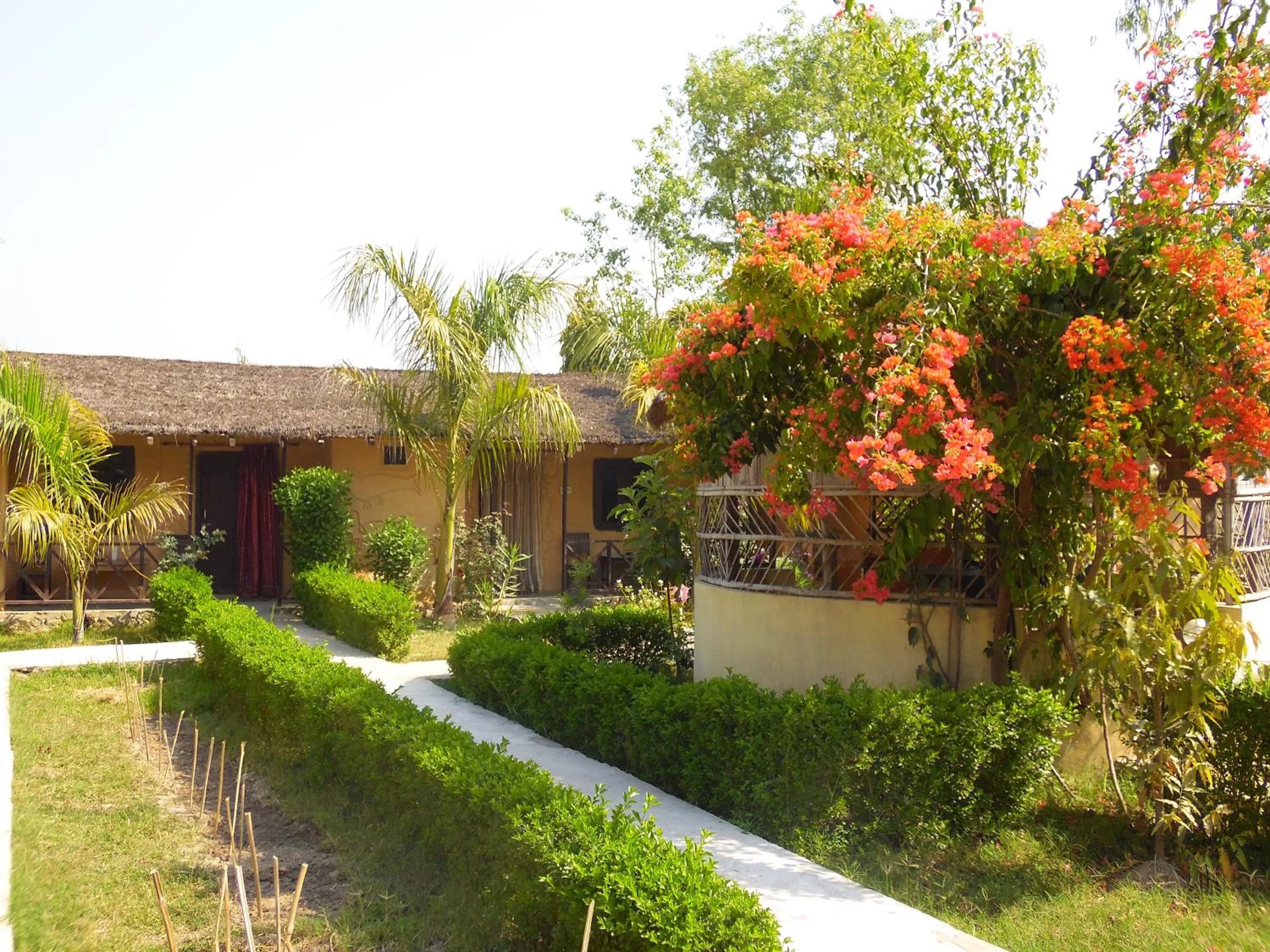 Garden view in Bardia Kingfisher Resort