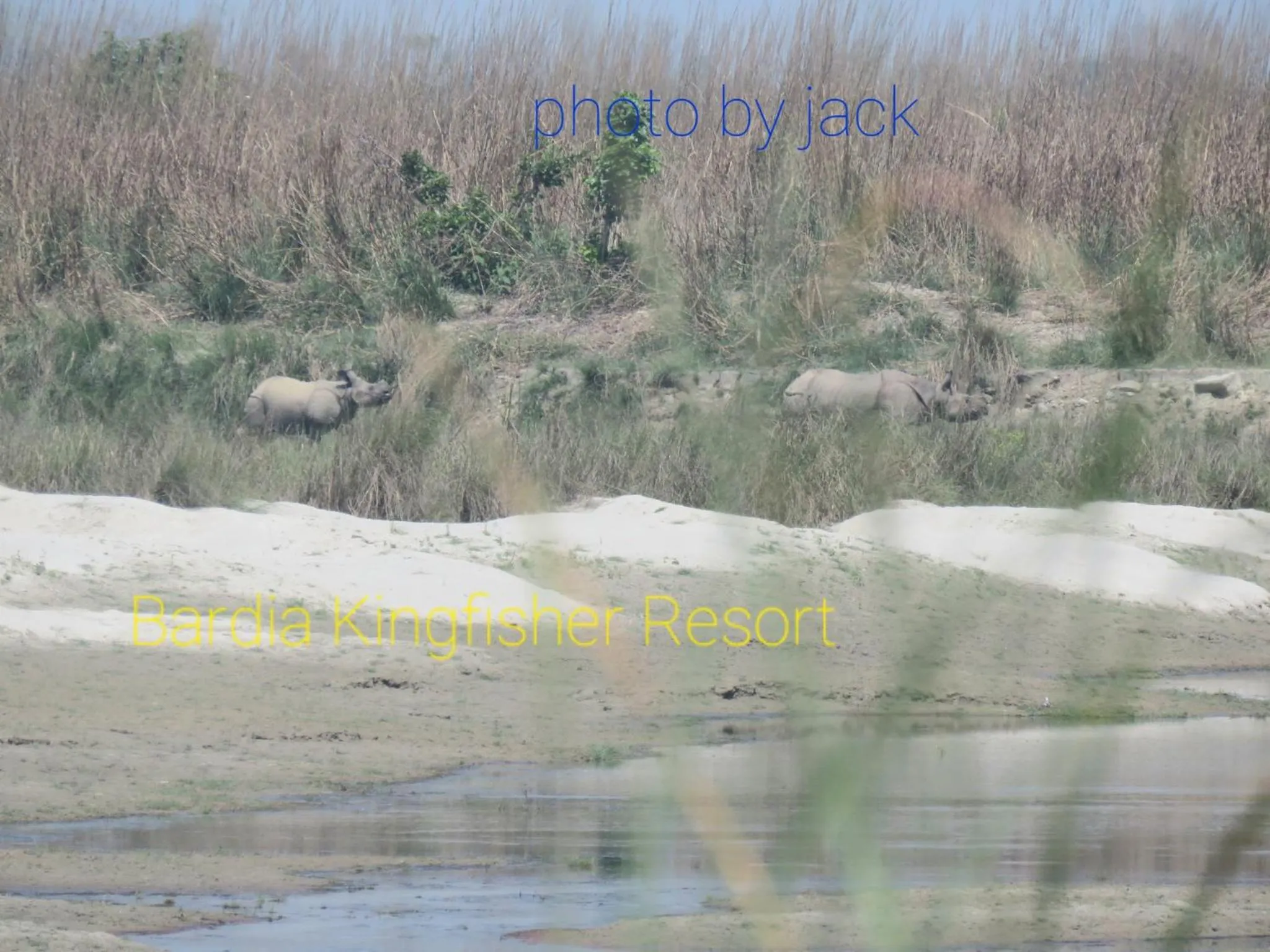 Animals in Bardia Kingfisher Resort