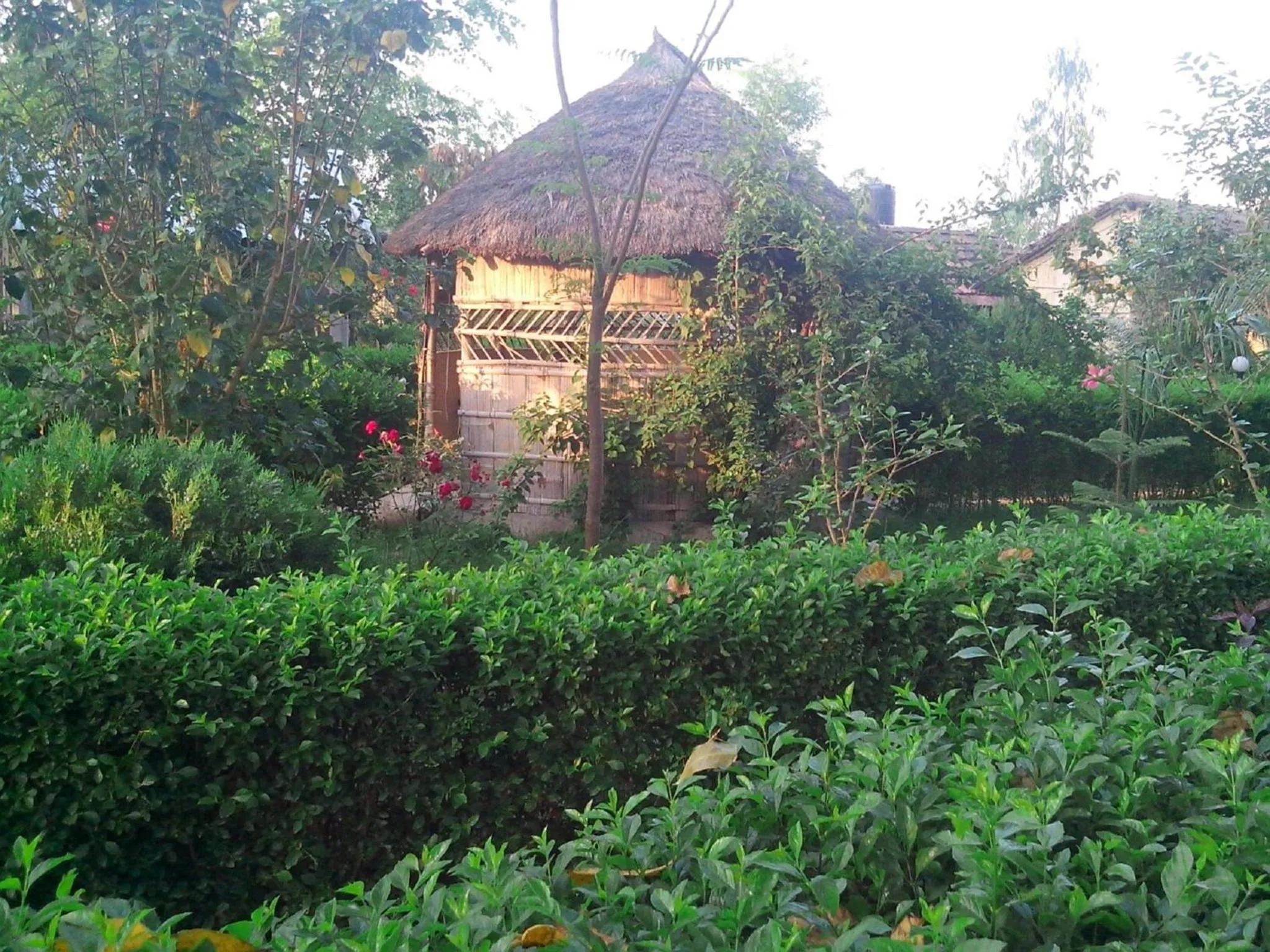 Other in Bardia Kingfisher Resort