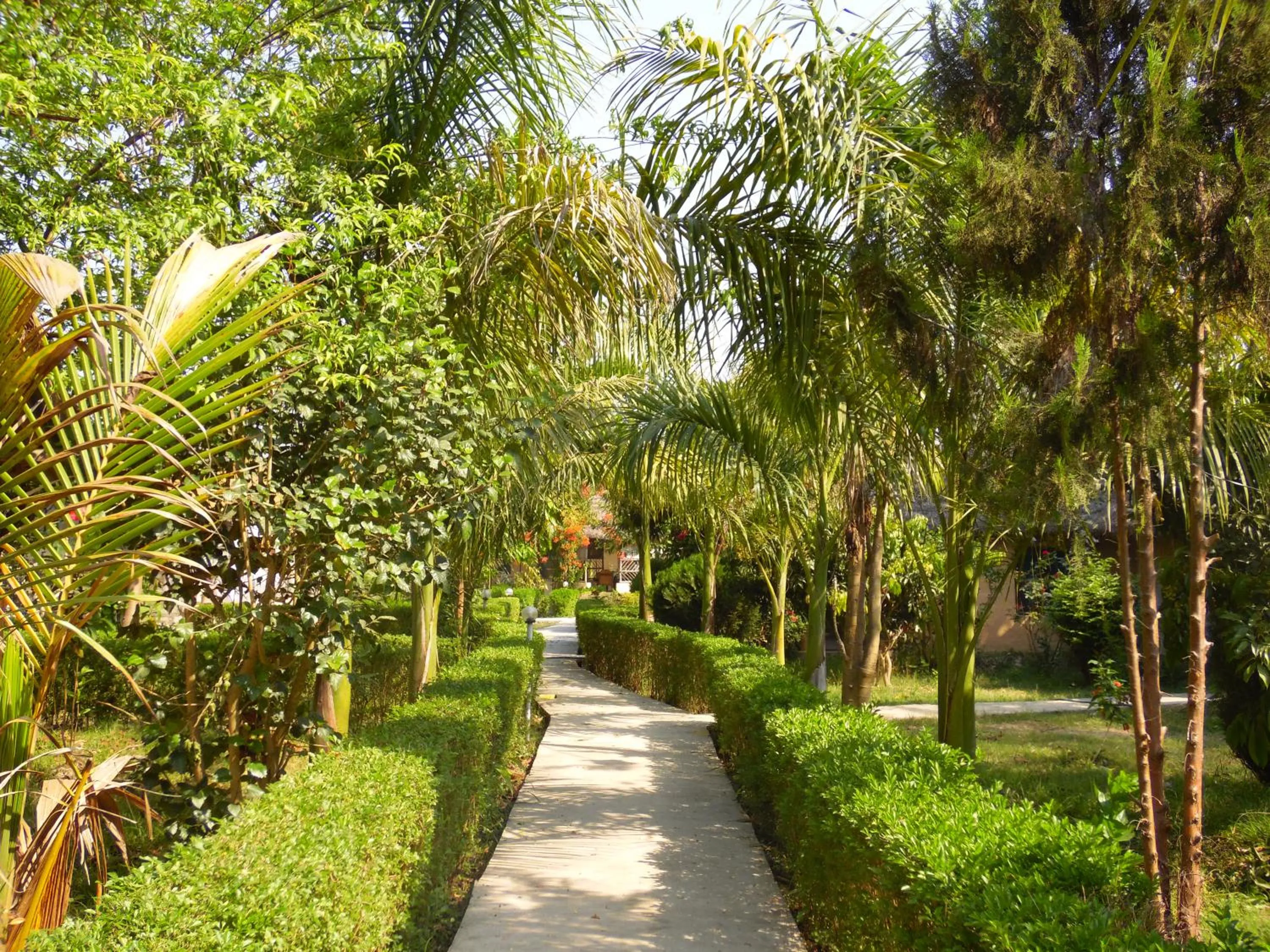 Day in Bardia Kingfisher Resort