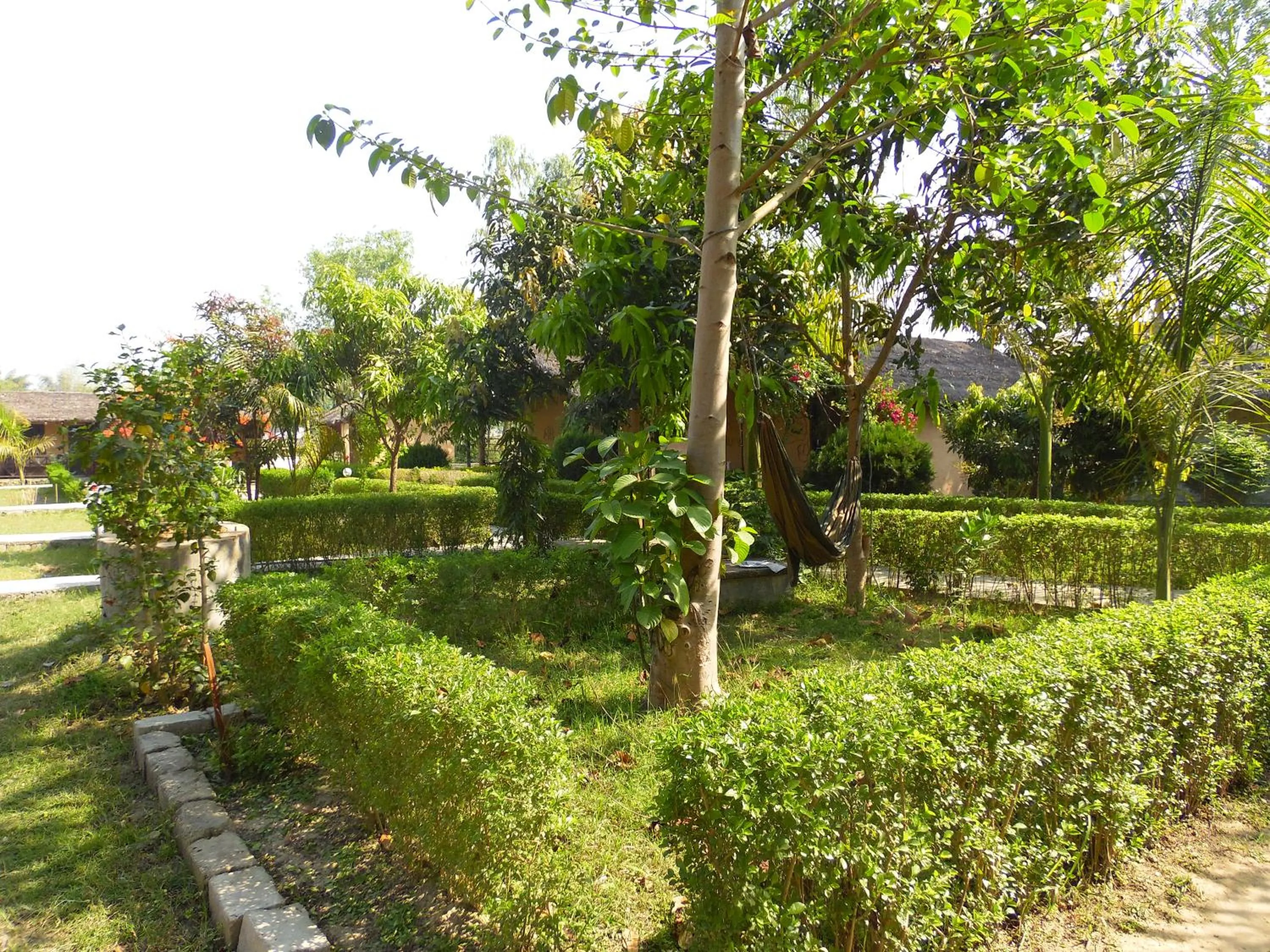 Garden view in Bardia Kingfisher Resort
