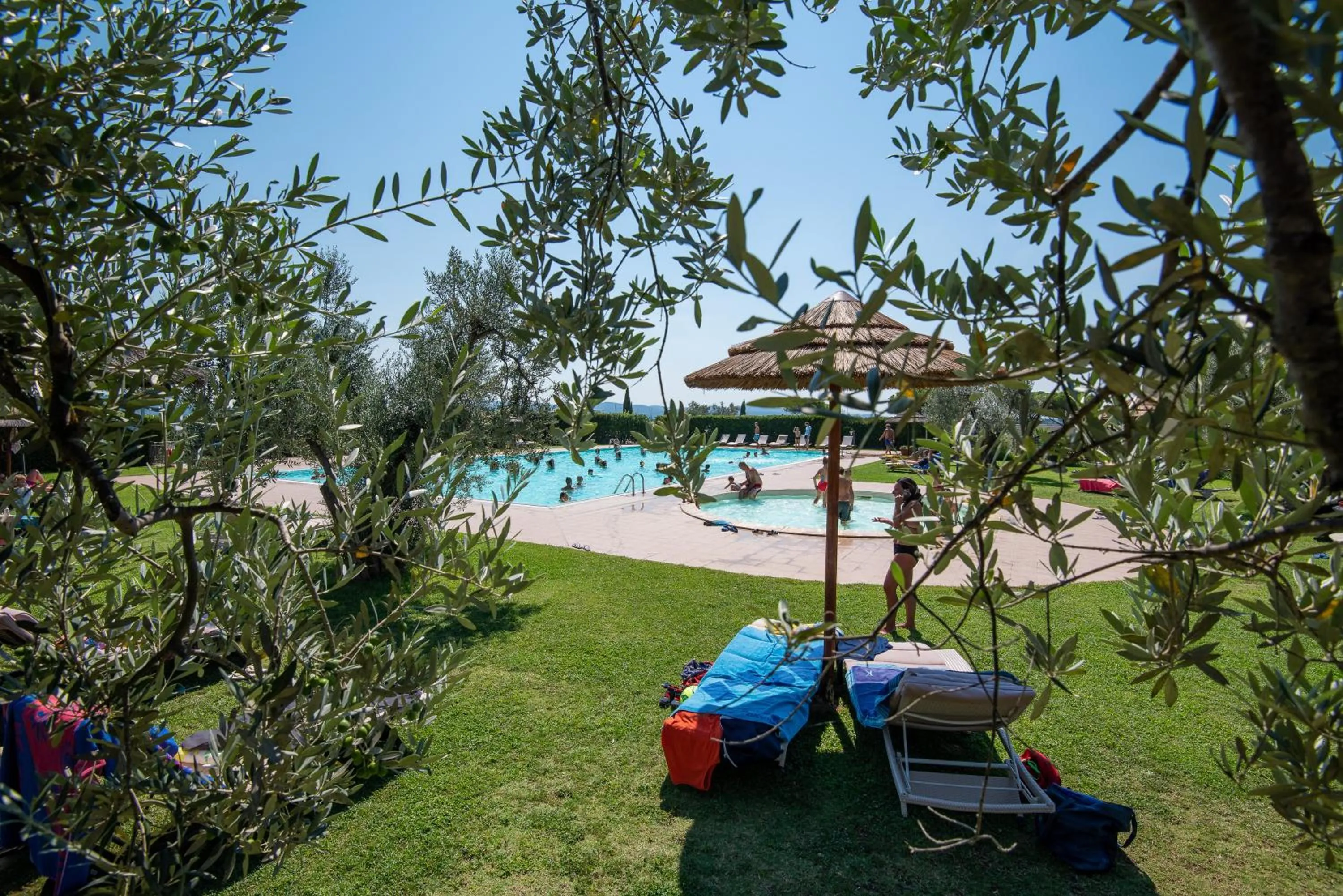 Pool view in Le Corti Di Montepitti