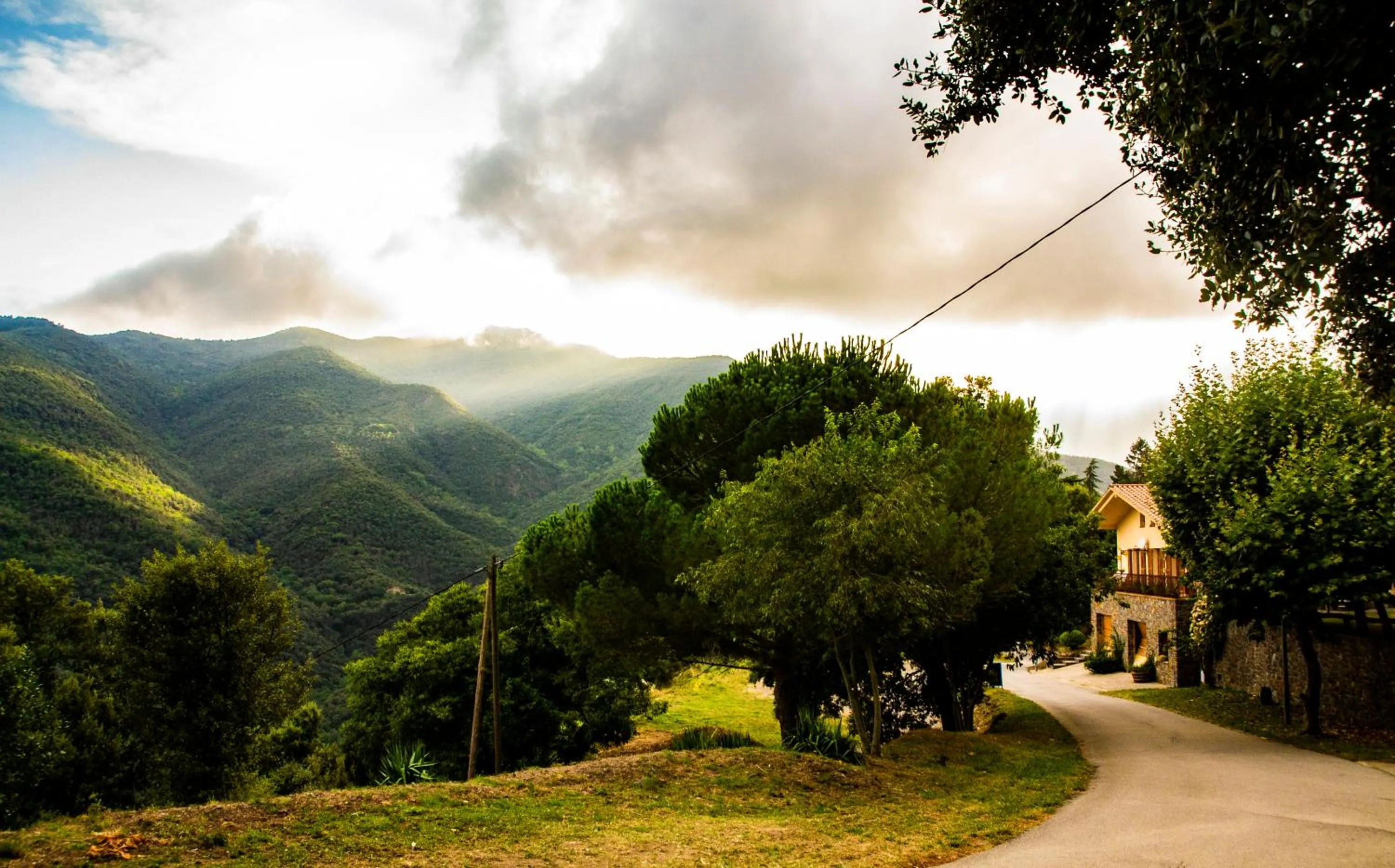 Garden in Hostal Montserrat