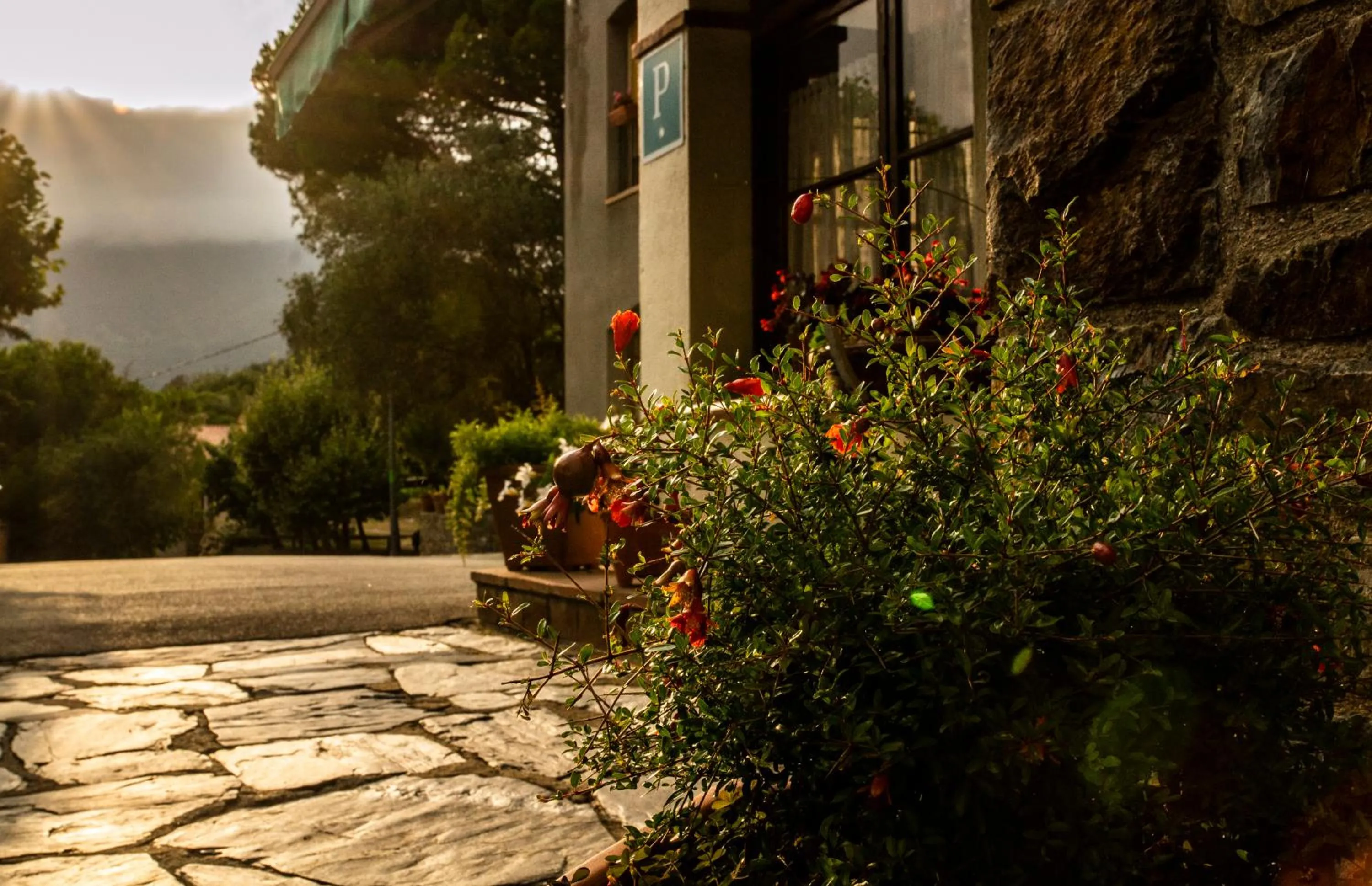 Patio in Hostal Montserrat