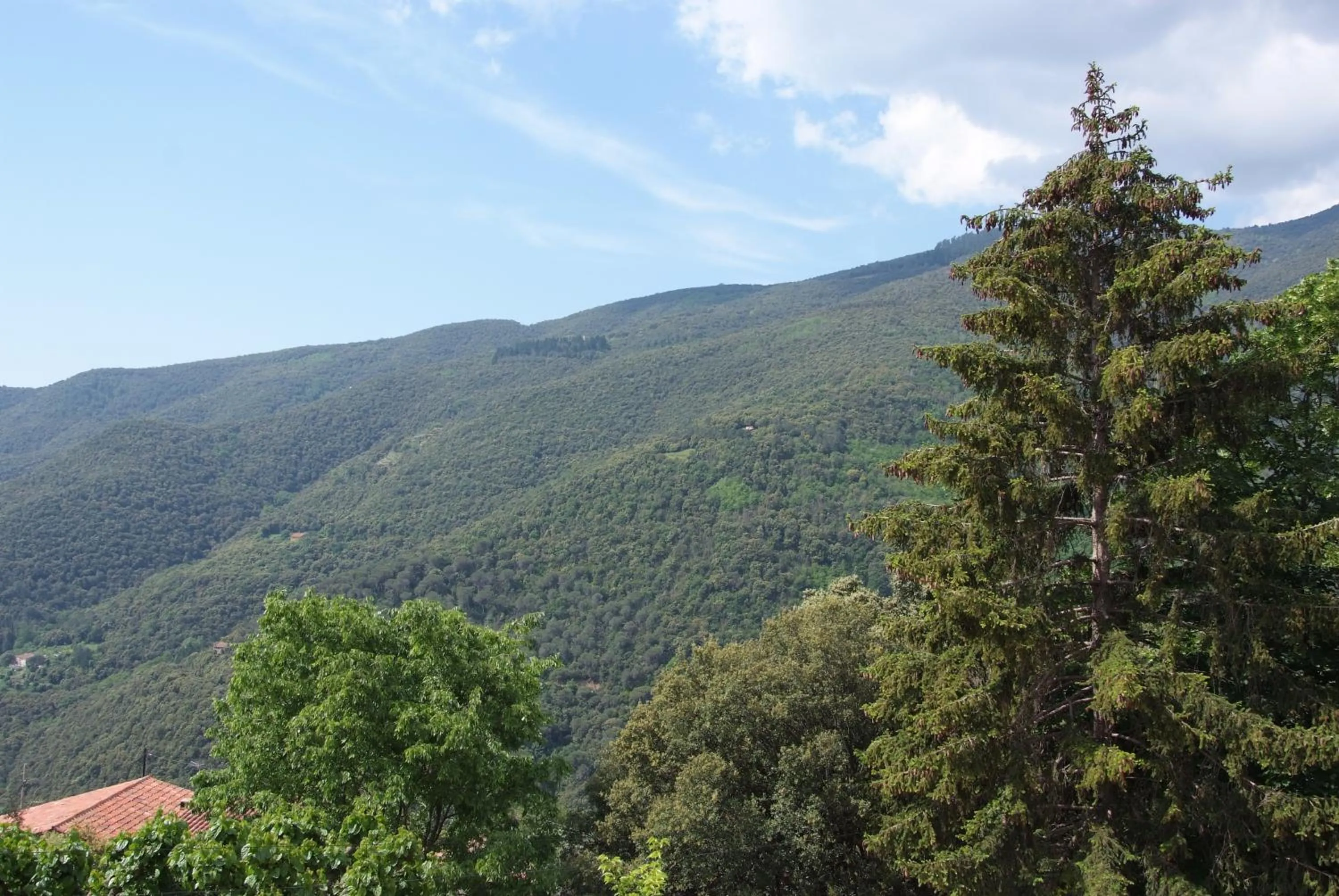 Mountain view in Hostal Montserrat