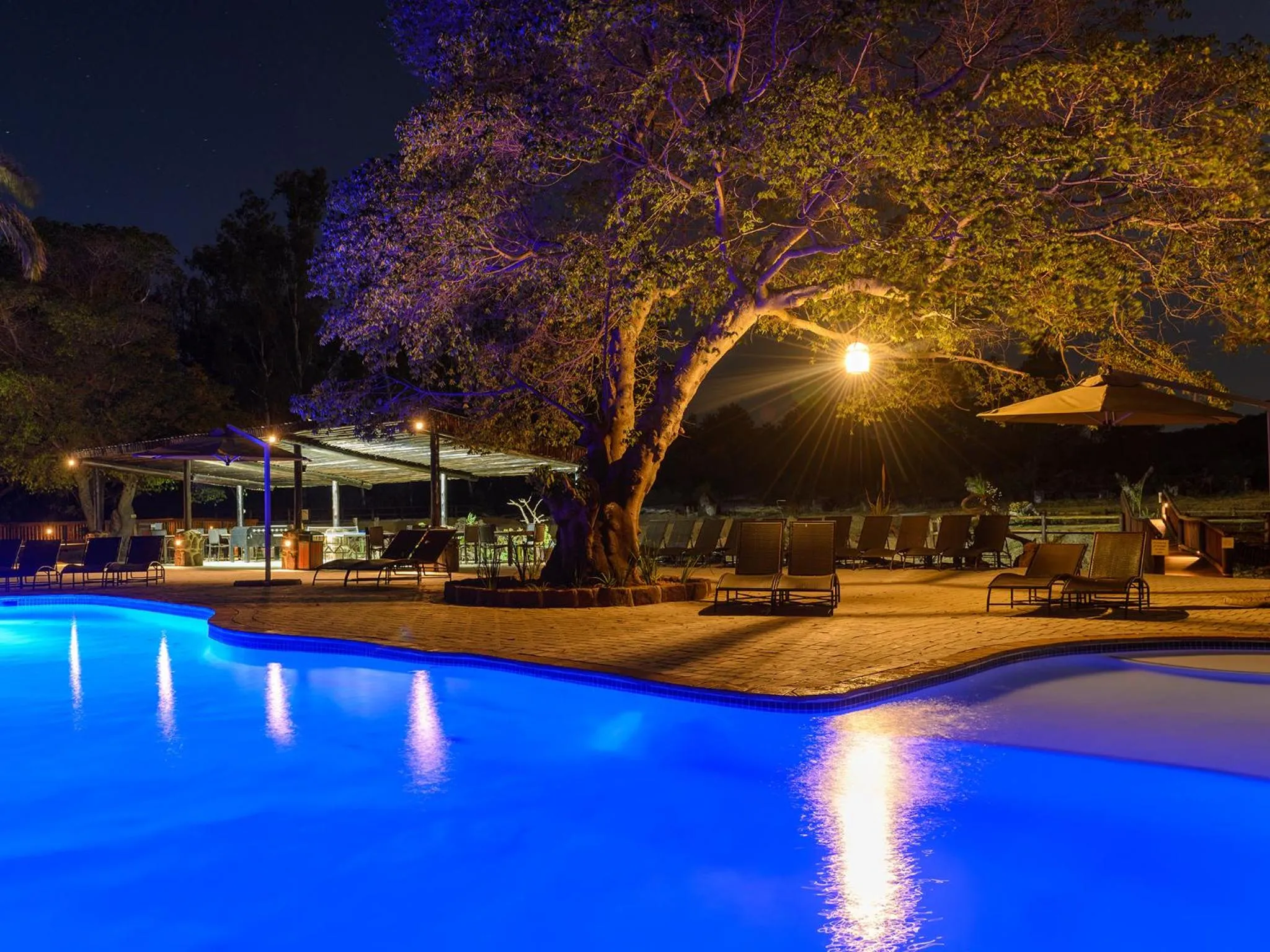 Swimming pool in Waterberg Game Park