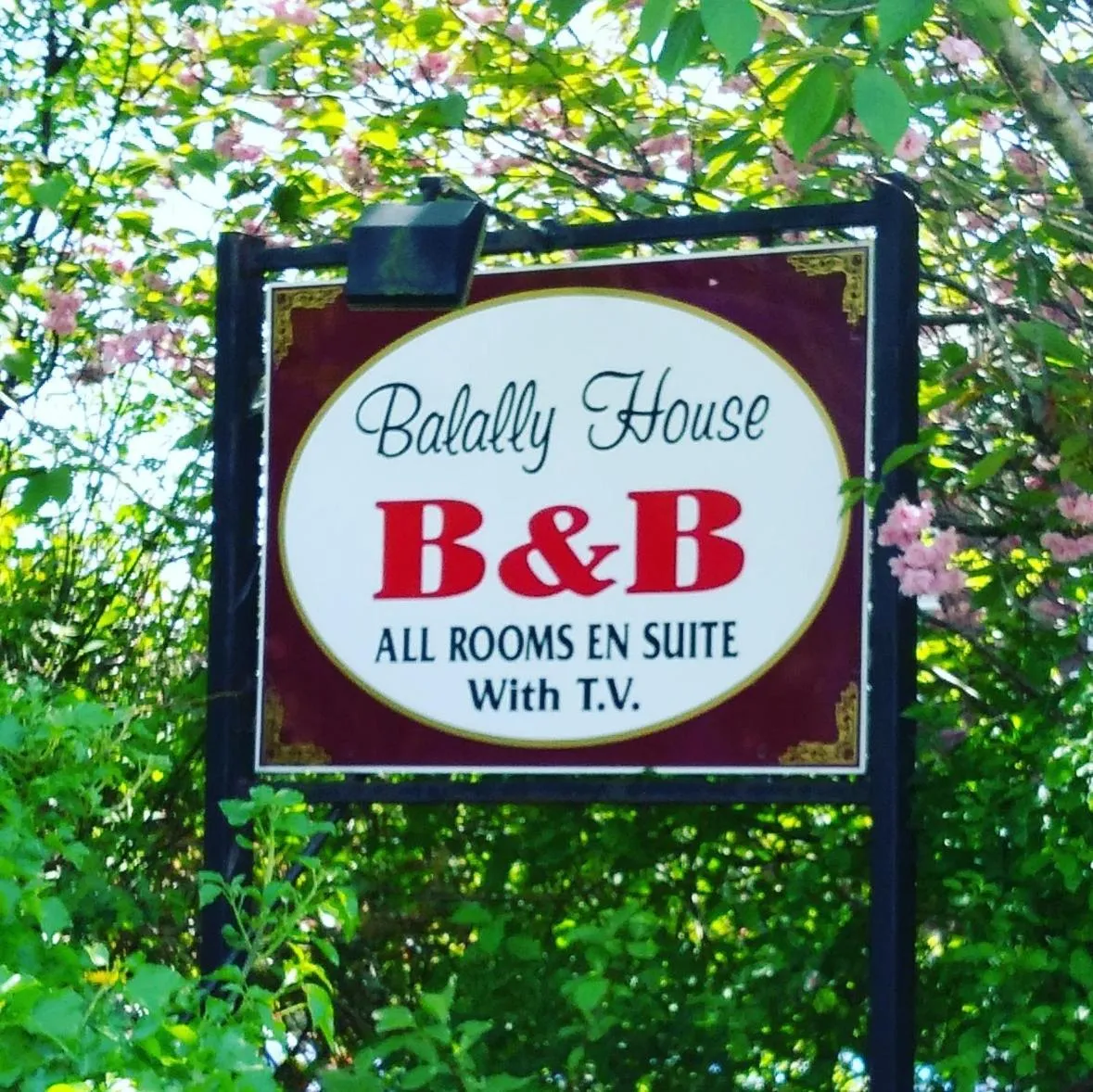 Spring in Balally House