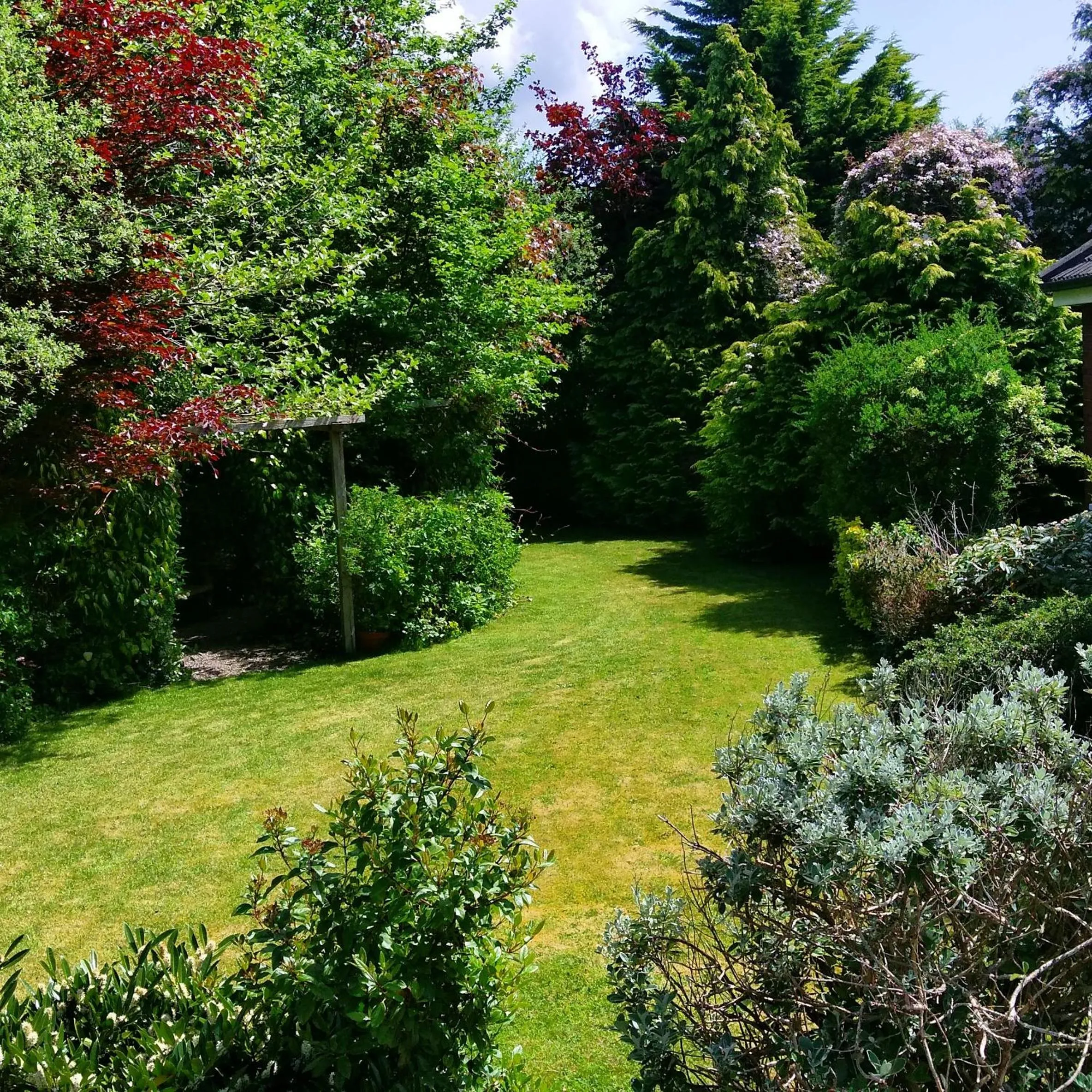 Garden in Balally House