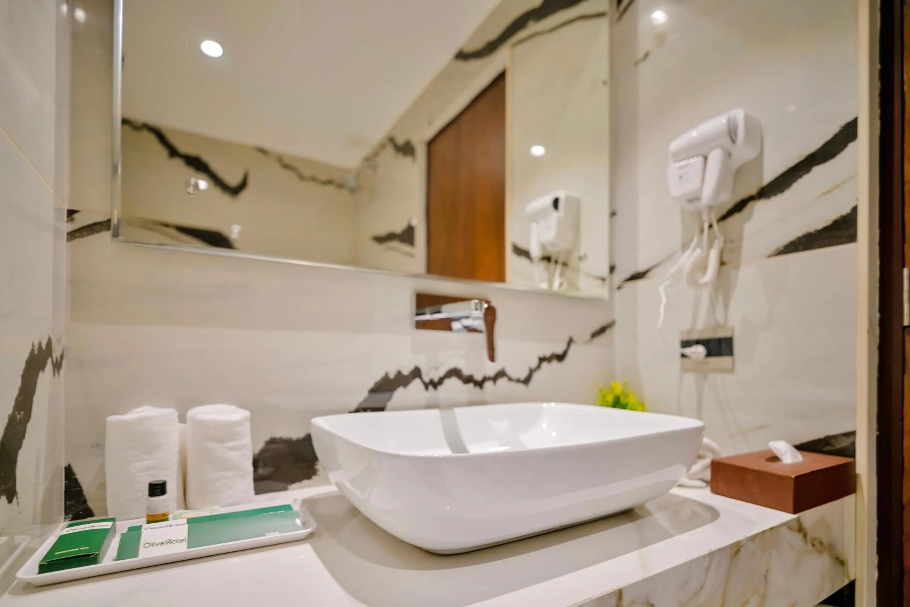 Bathroom in The Olive Hotel Srinagar