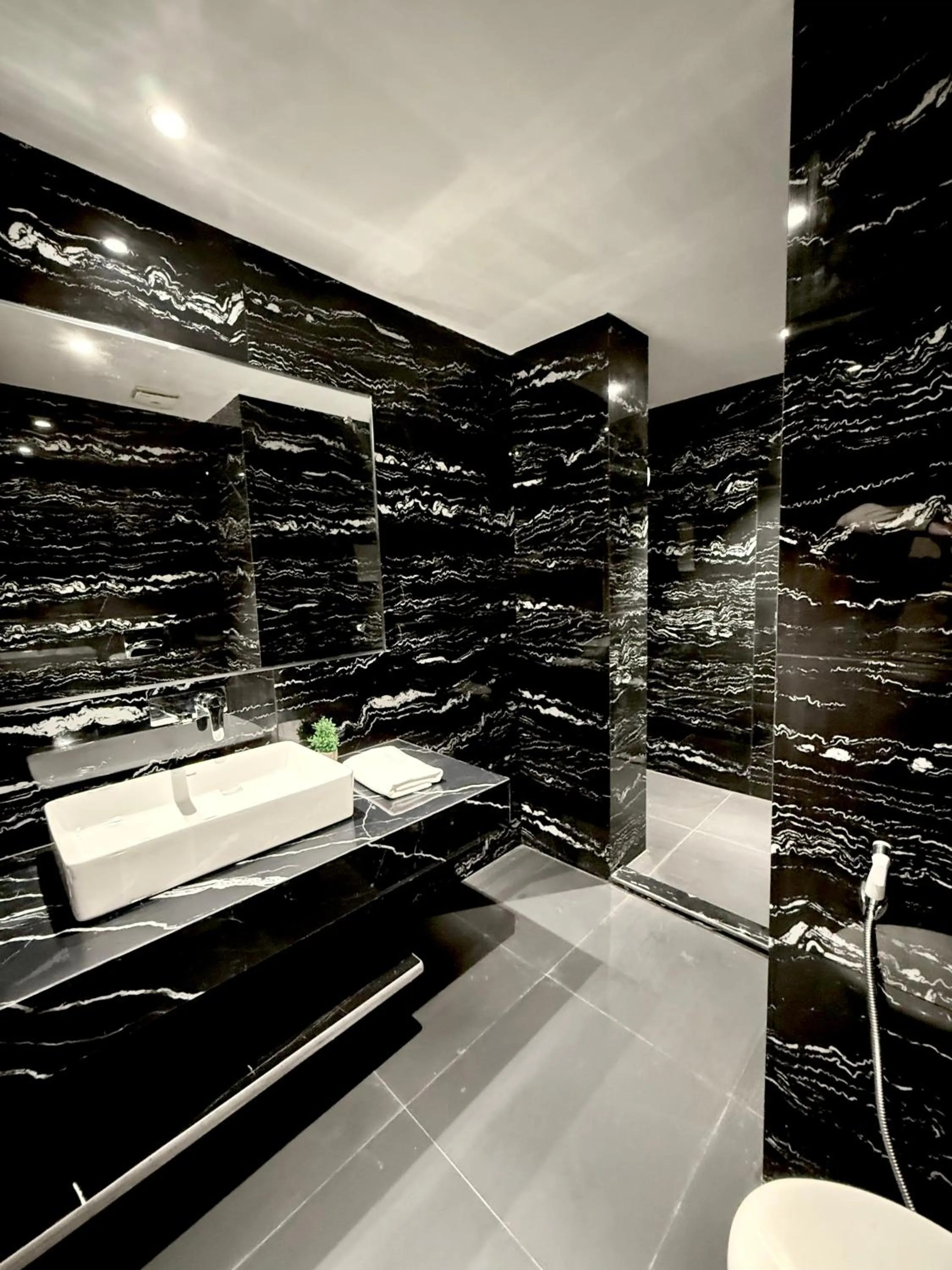 Bathroom in The Olive Hotel Srinagar