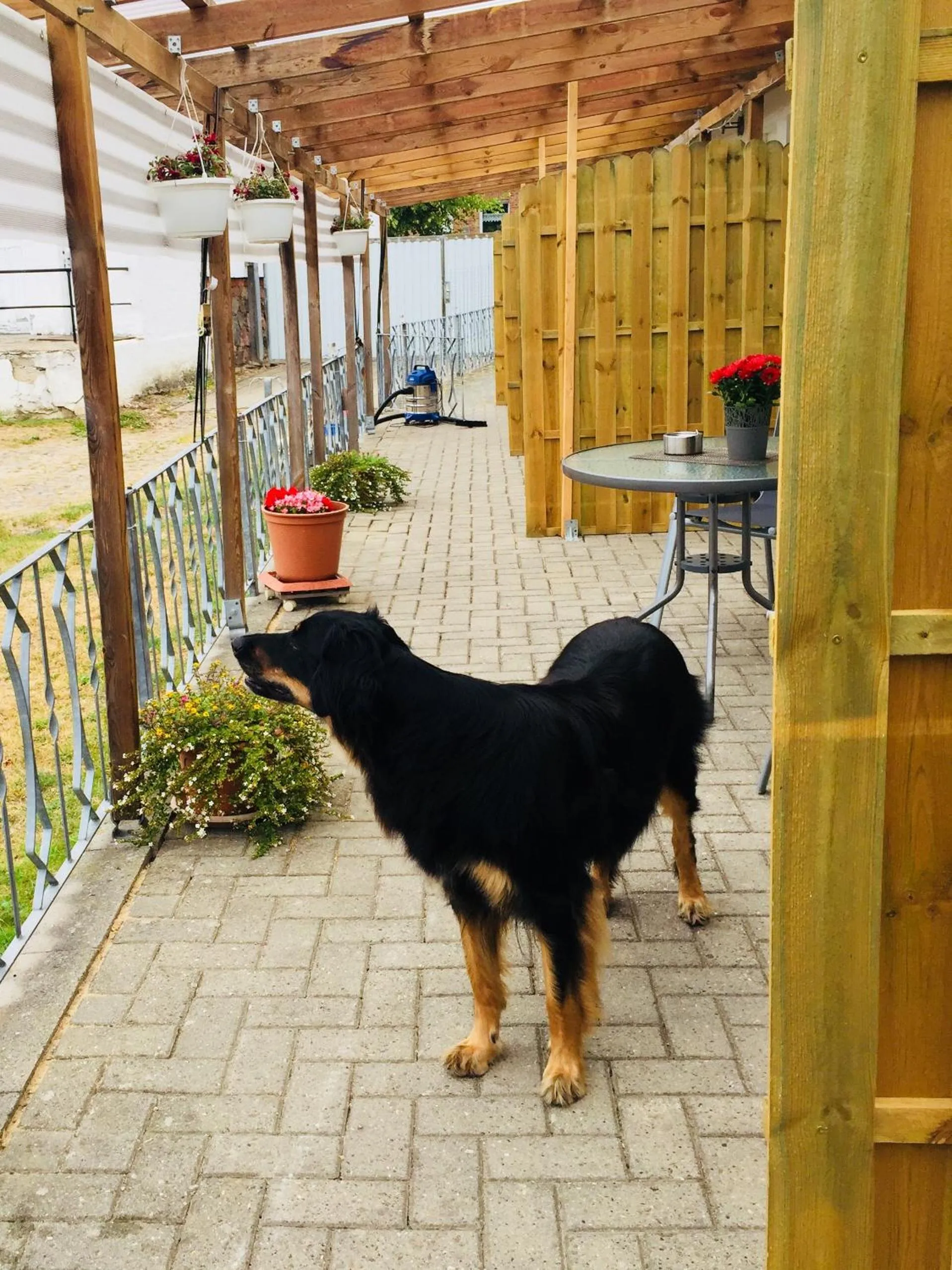 Other in Landgasthaus & Pension Liebner-Land Brandenburg-Prignitz