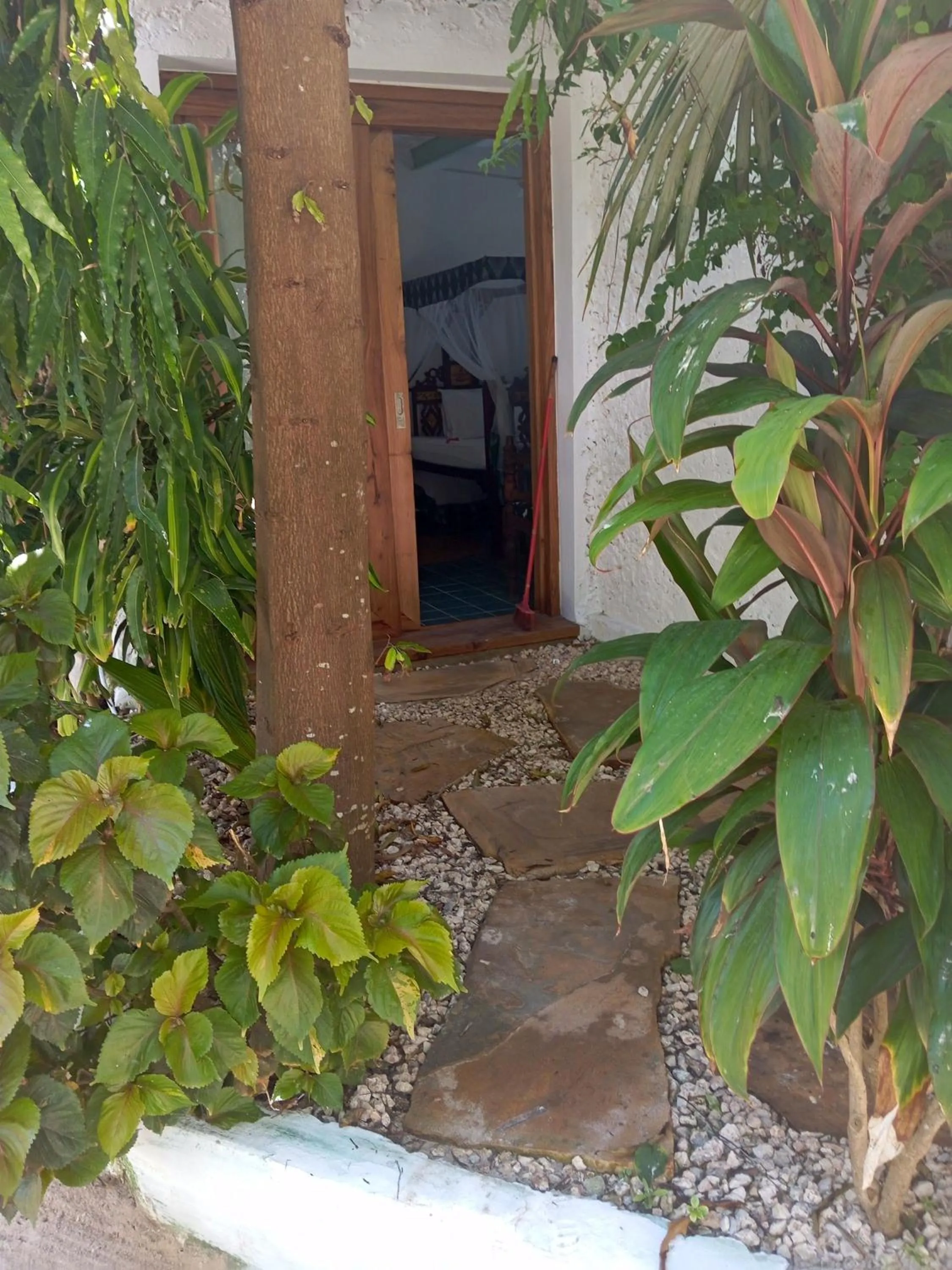 View (from property/room) in Villa Bahati Zanzibar