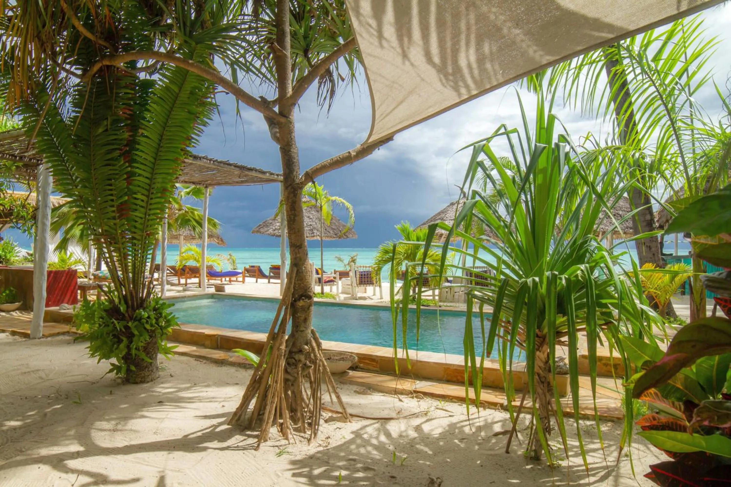 Swimming pool in Villa Bahati Zanzibar