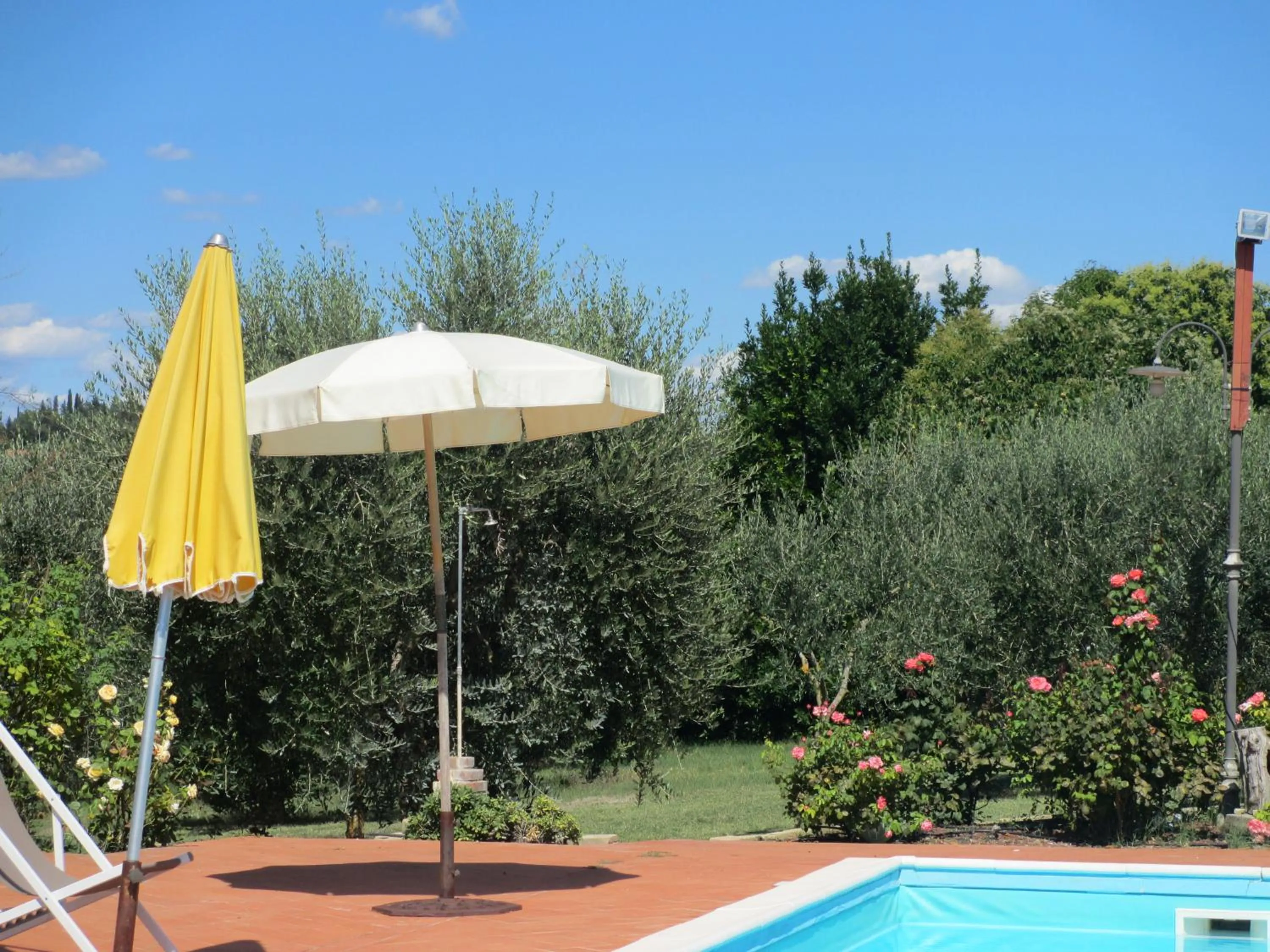 Swimming pool in Locanda le Boscarecce