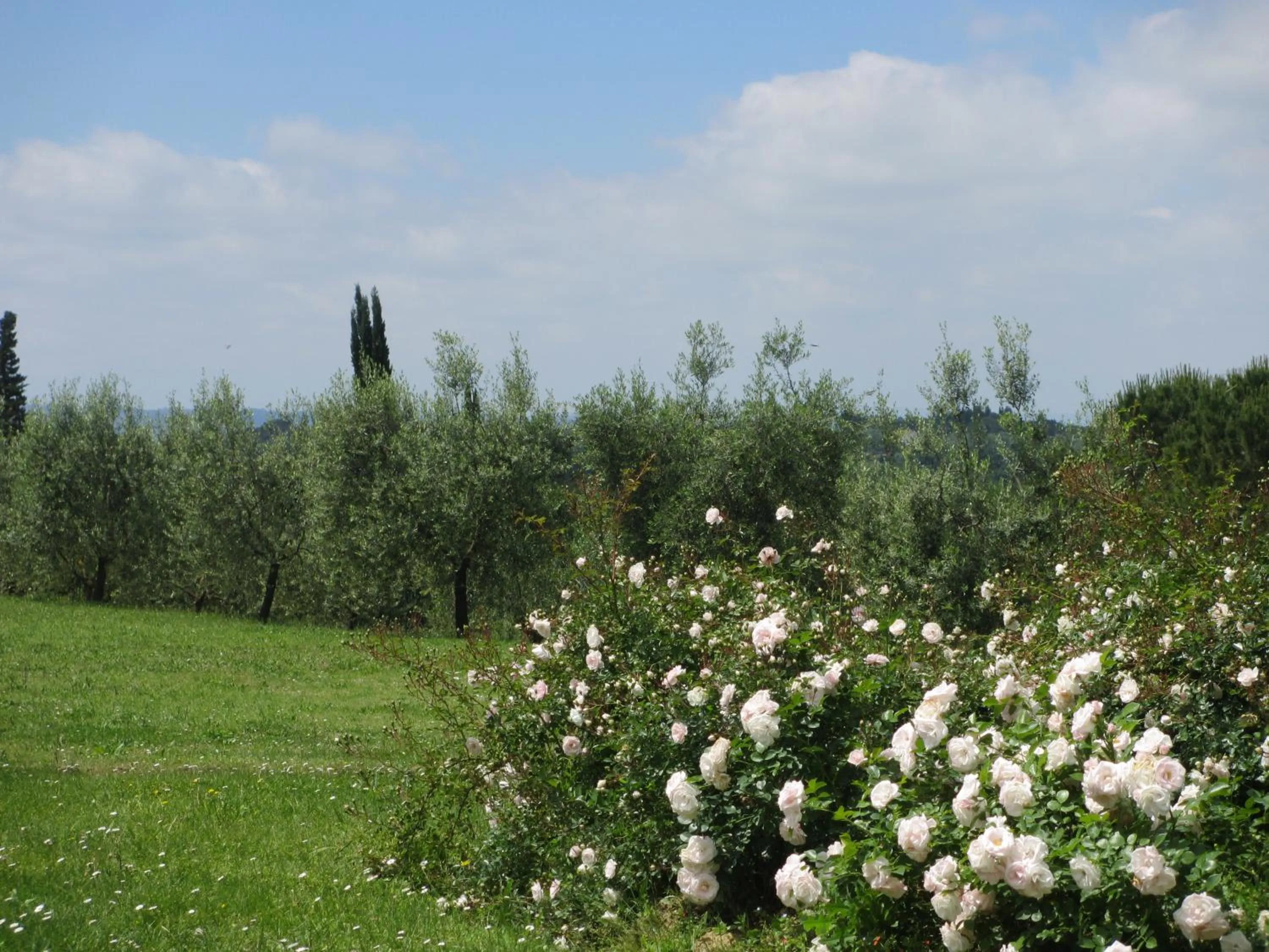 Garden in Locanda le Boscarecce