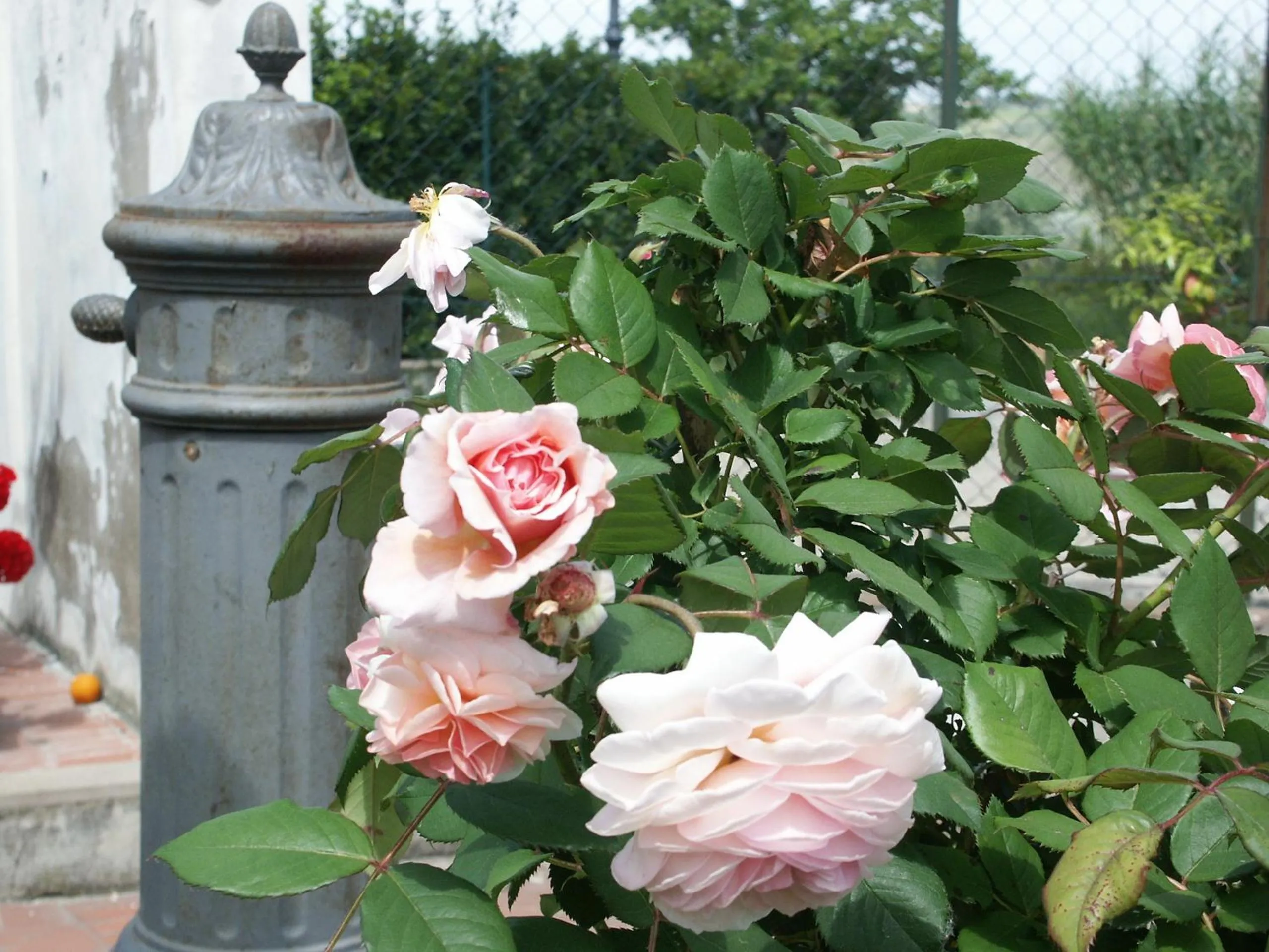 Garden in Locanda le Boscarecce