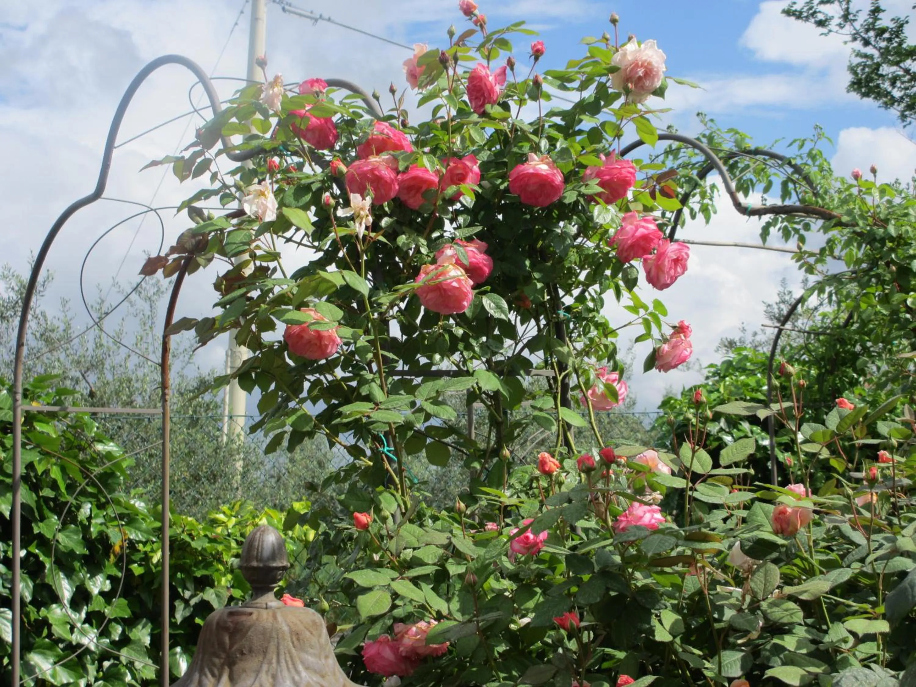 Garden in Locanda le Boscarecce