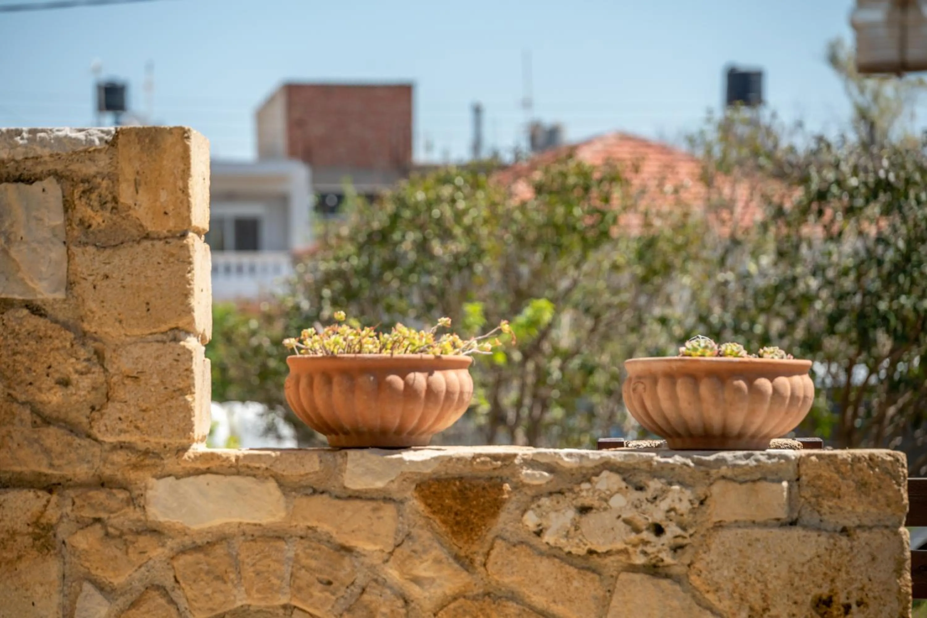 Summer in Secreto Studios