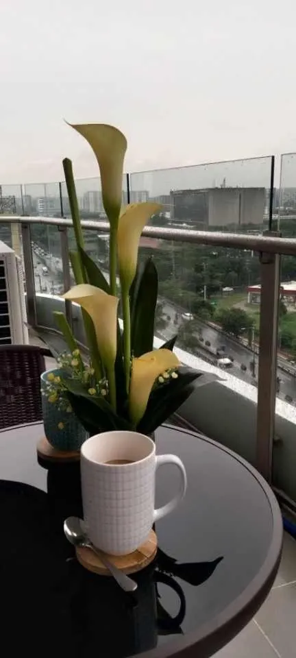 Day in SMDC Coast Residences