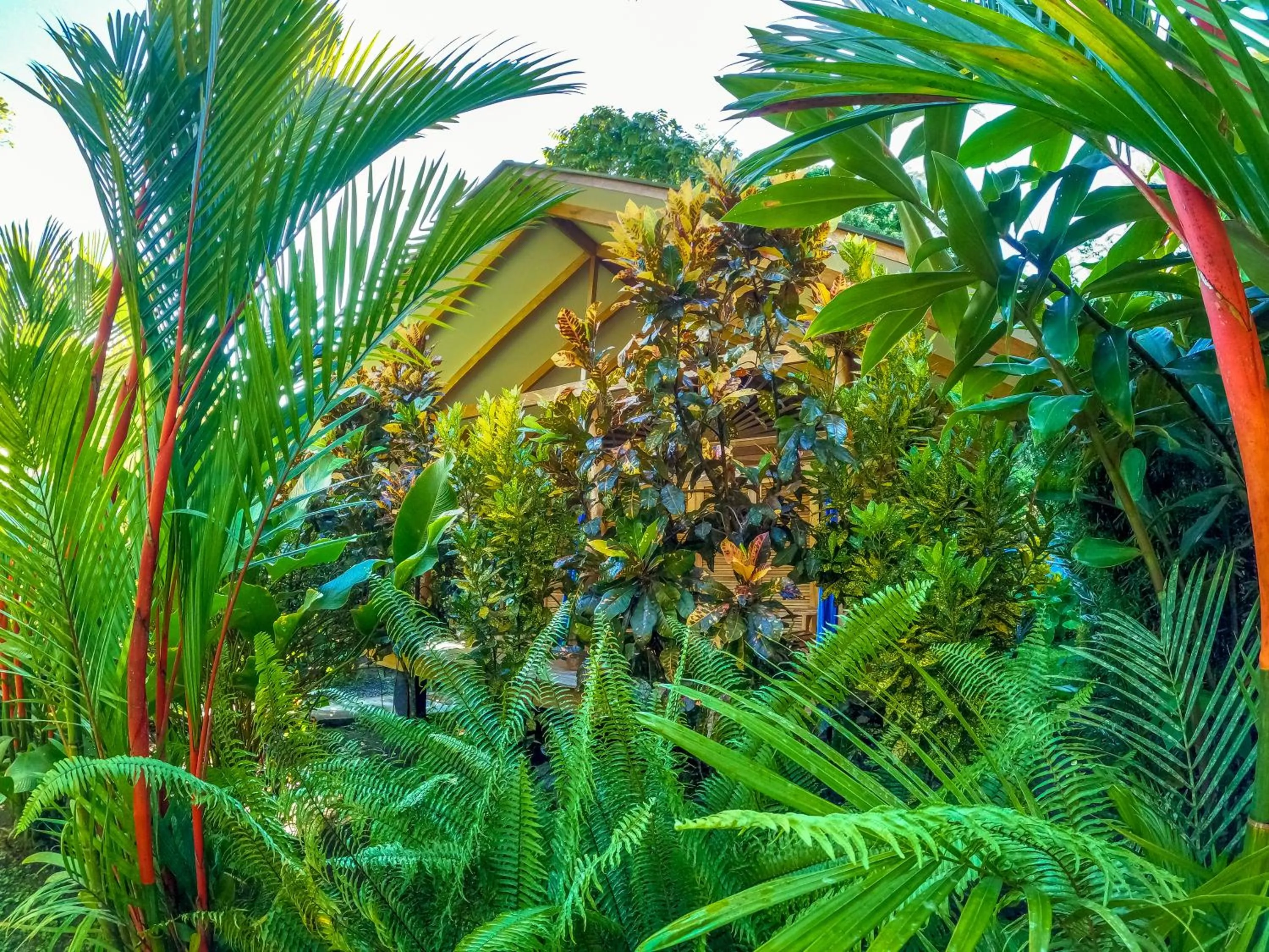 Garden view in Relax Natural Village Adults Only