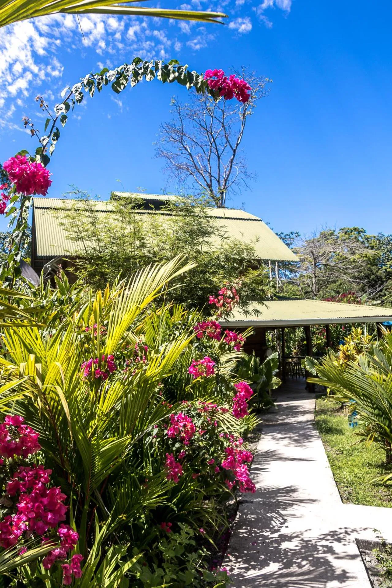 Property building in Relax Natural Village Adults Only